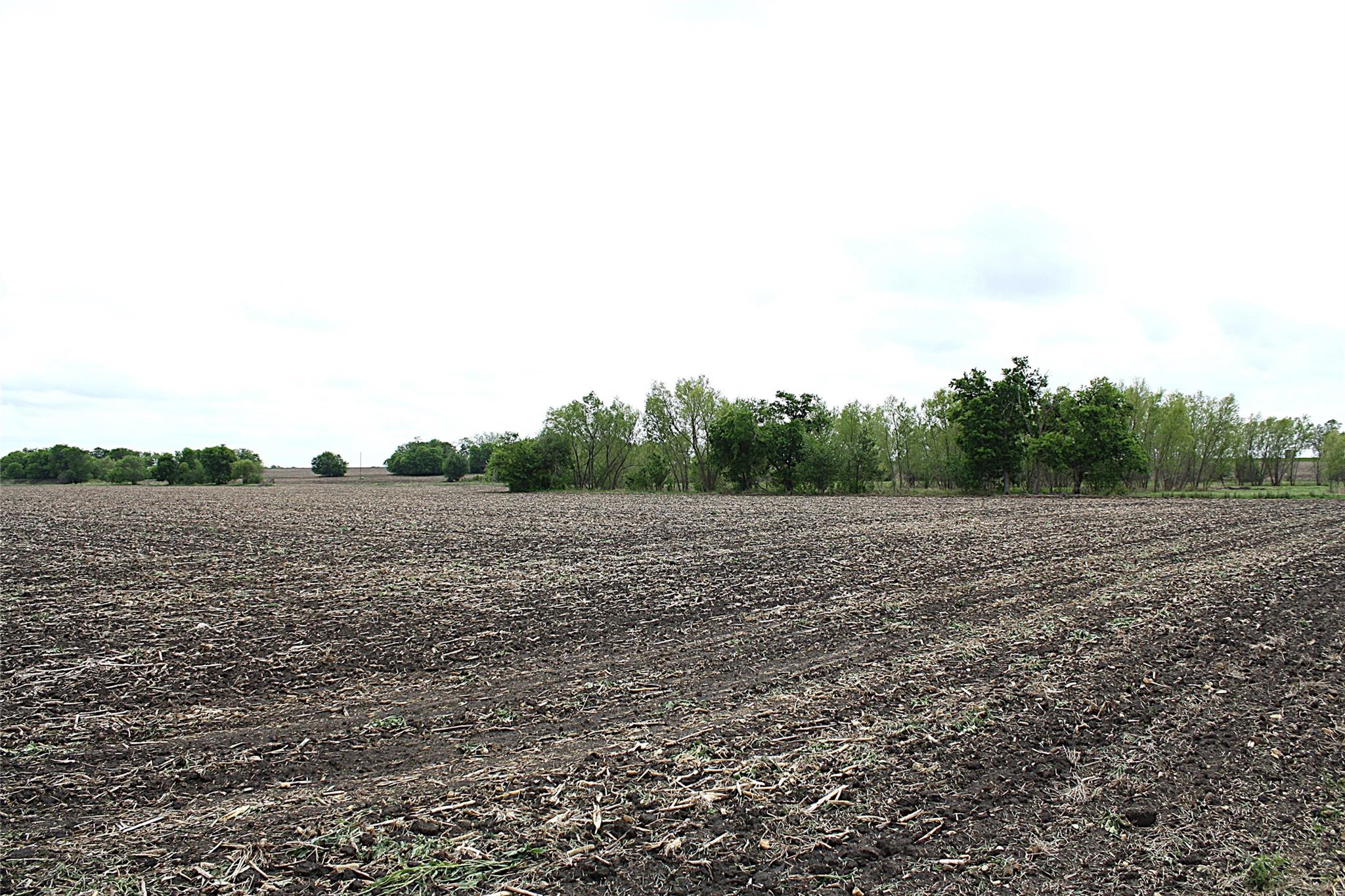 19374 Pennington Branch Rd, Holland, TX 76534