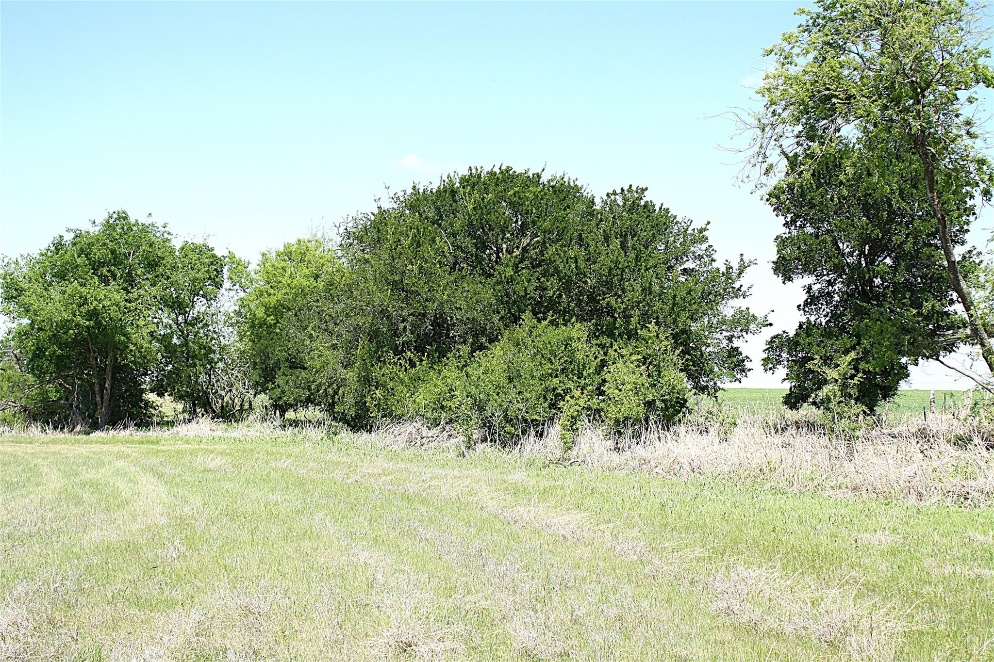 8821 County Road 133, Burlington, TX 76519