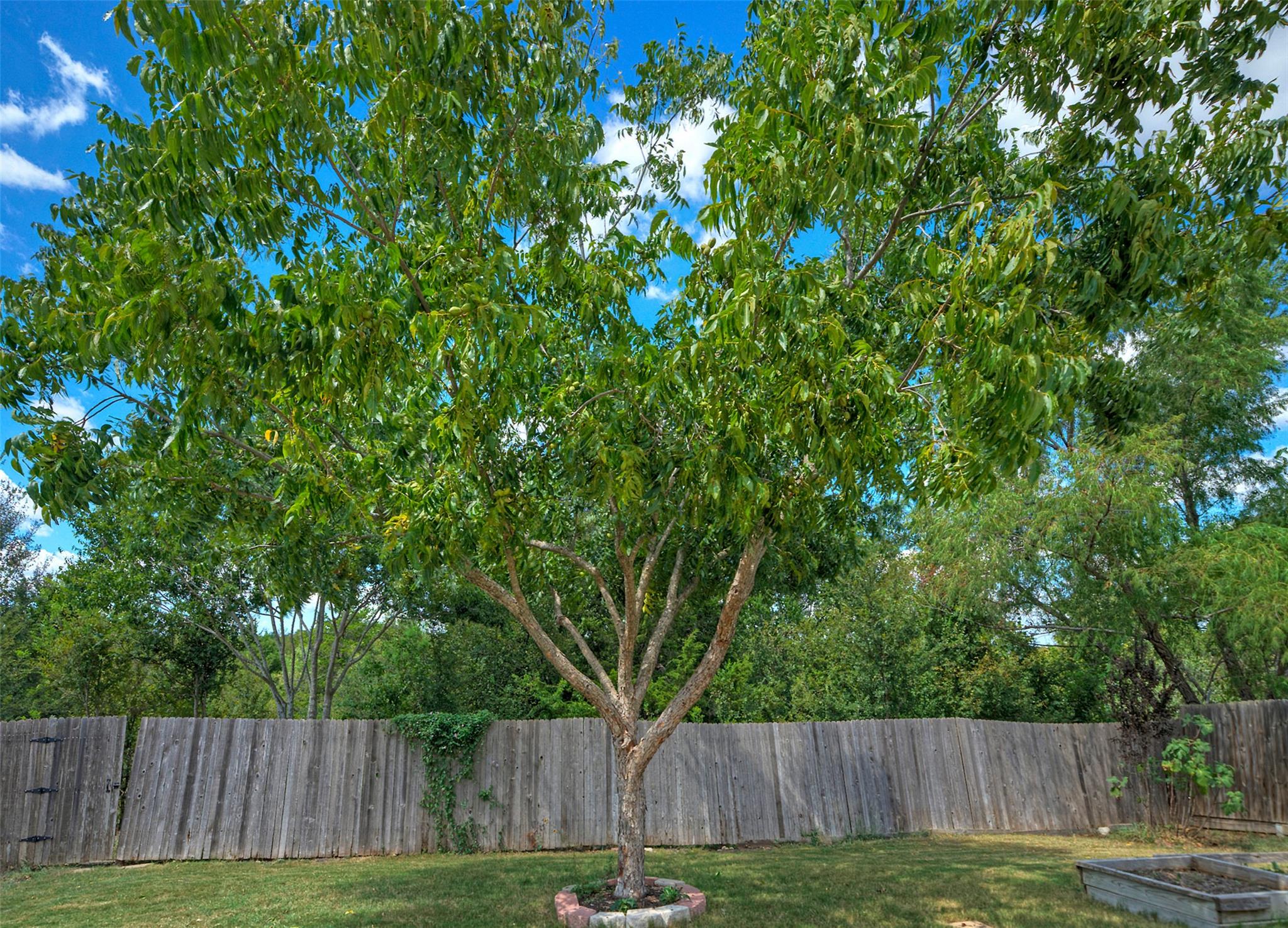 18100 Belfry Pass, Manor, TX 78653