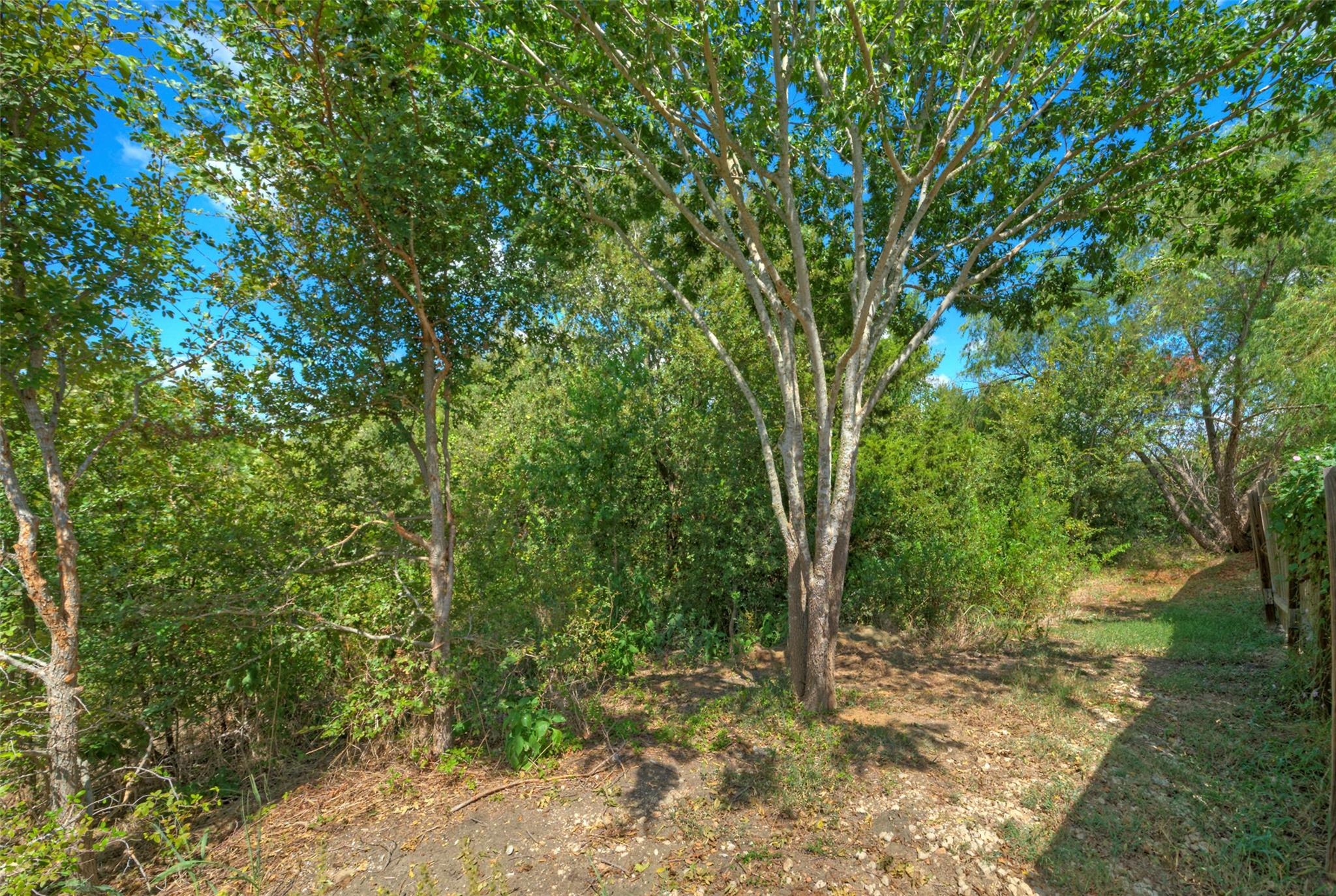 18100 Belfry Pass, Manor, TX 78653