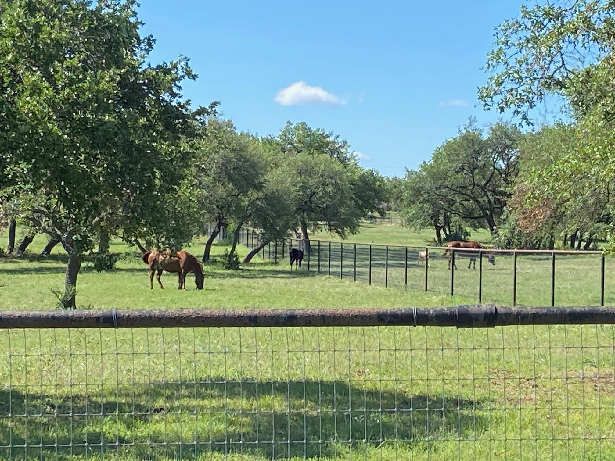 385 Country Ln, Dripping Springs, TX 78620