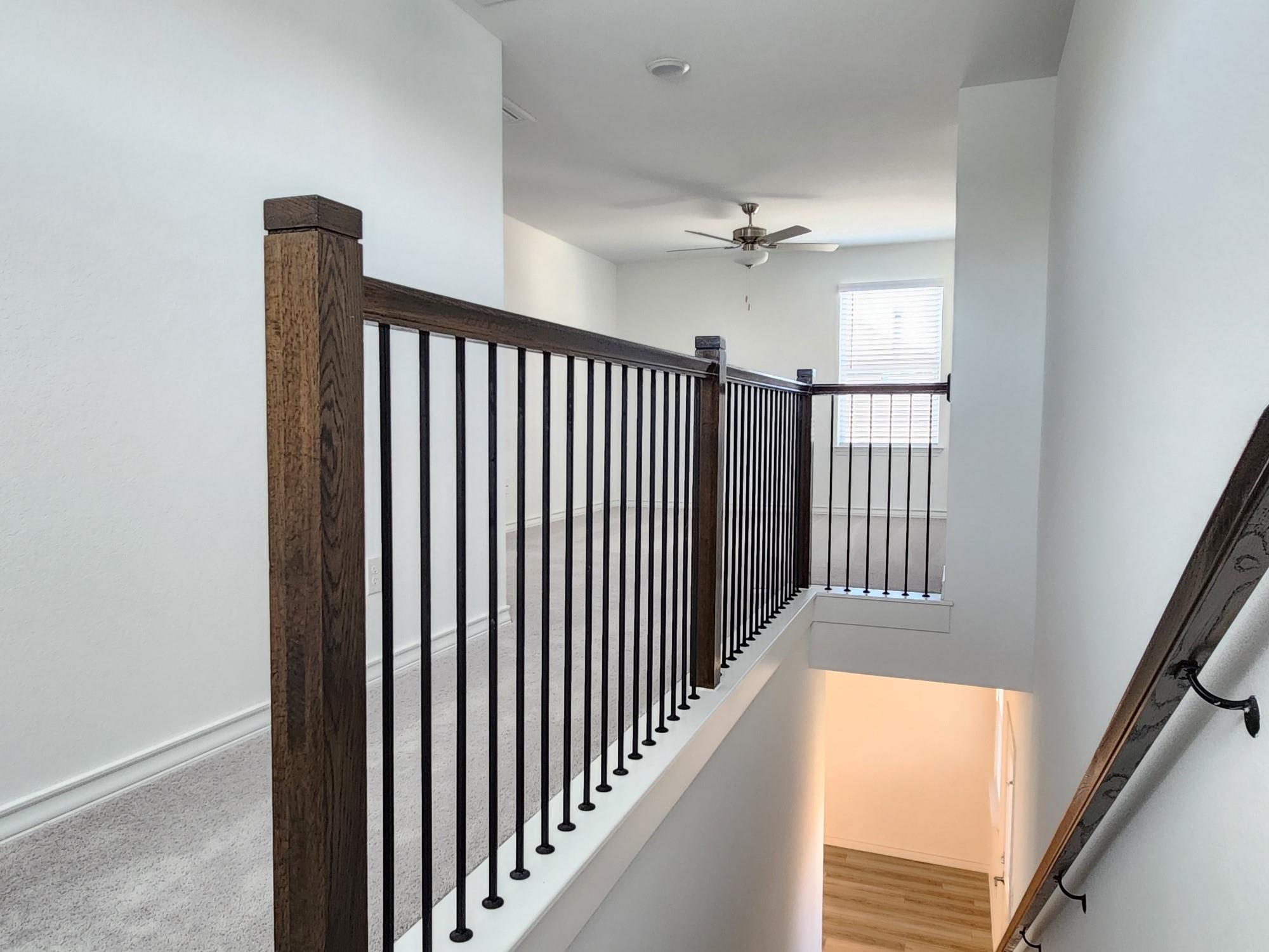 202 Doodle Ln, Hutto, TX 78634