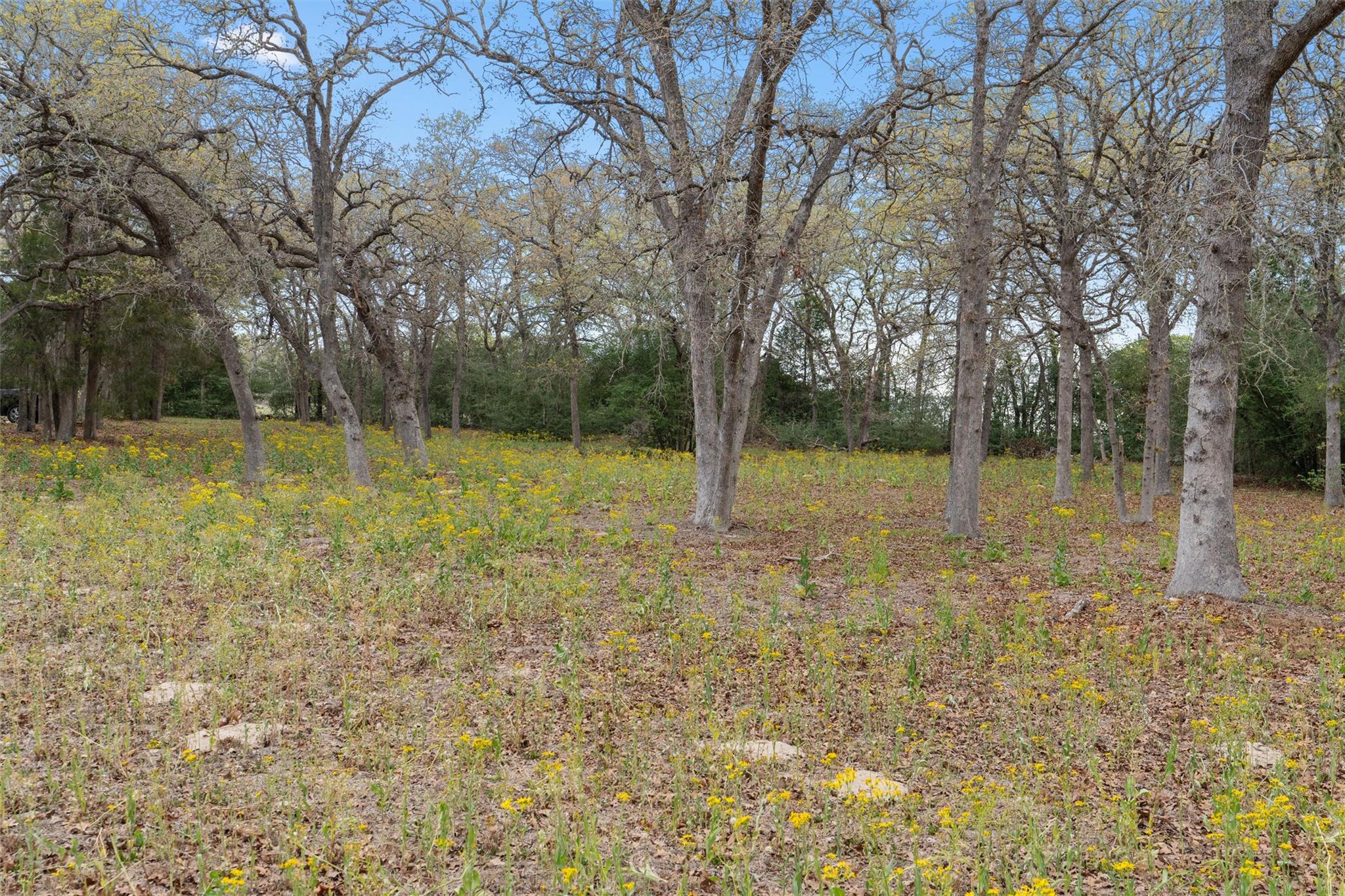 124 Kingwood Dr, Elgin, TX 78621