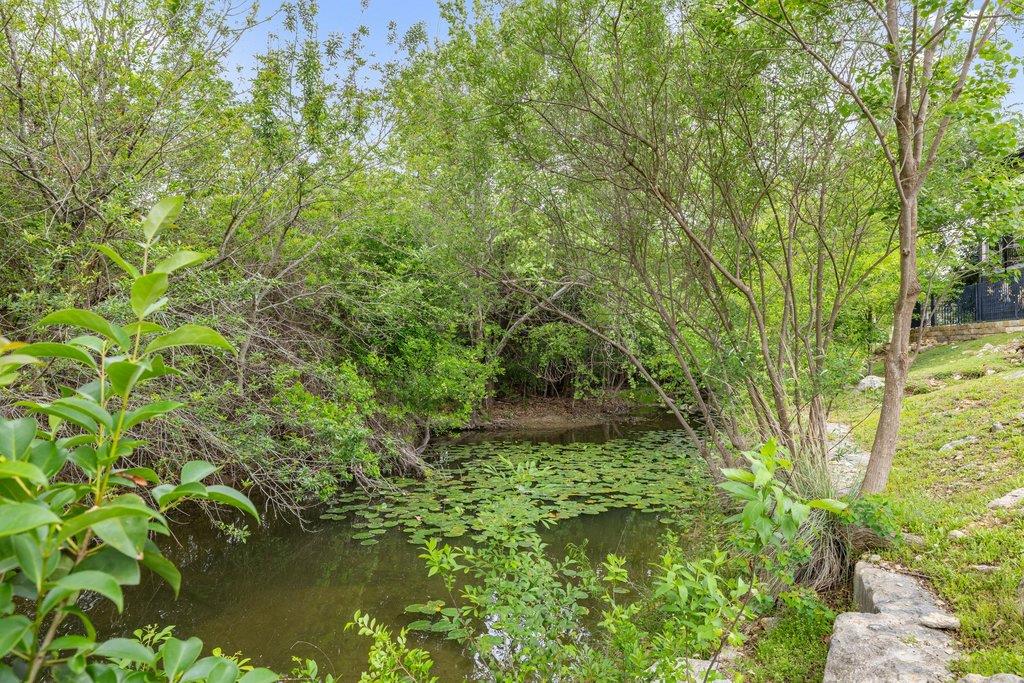 19 Chandon Ln, Lakeway, TX 78734