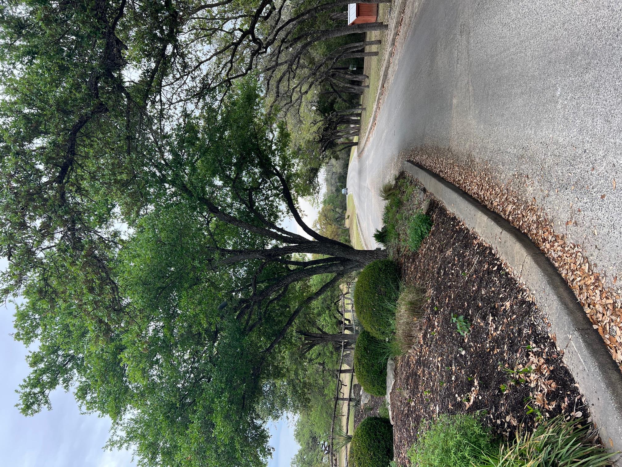 lot 66 Broken Spoke 5 Acres, Canyon Lake, TX 78133