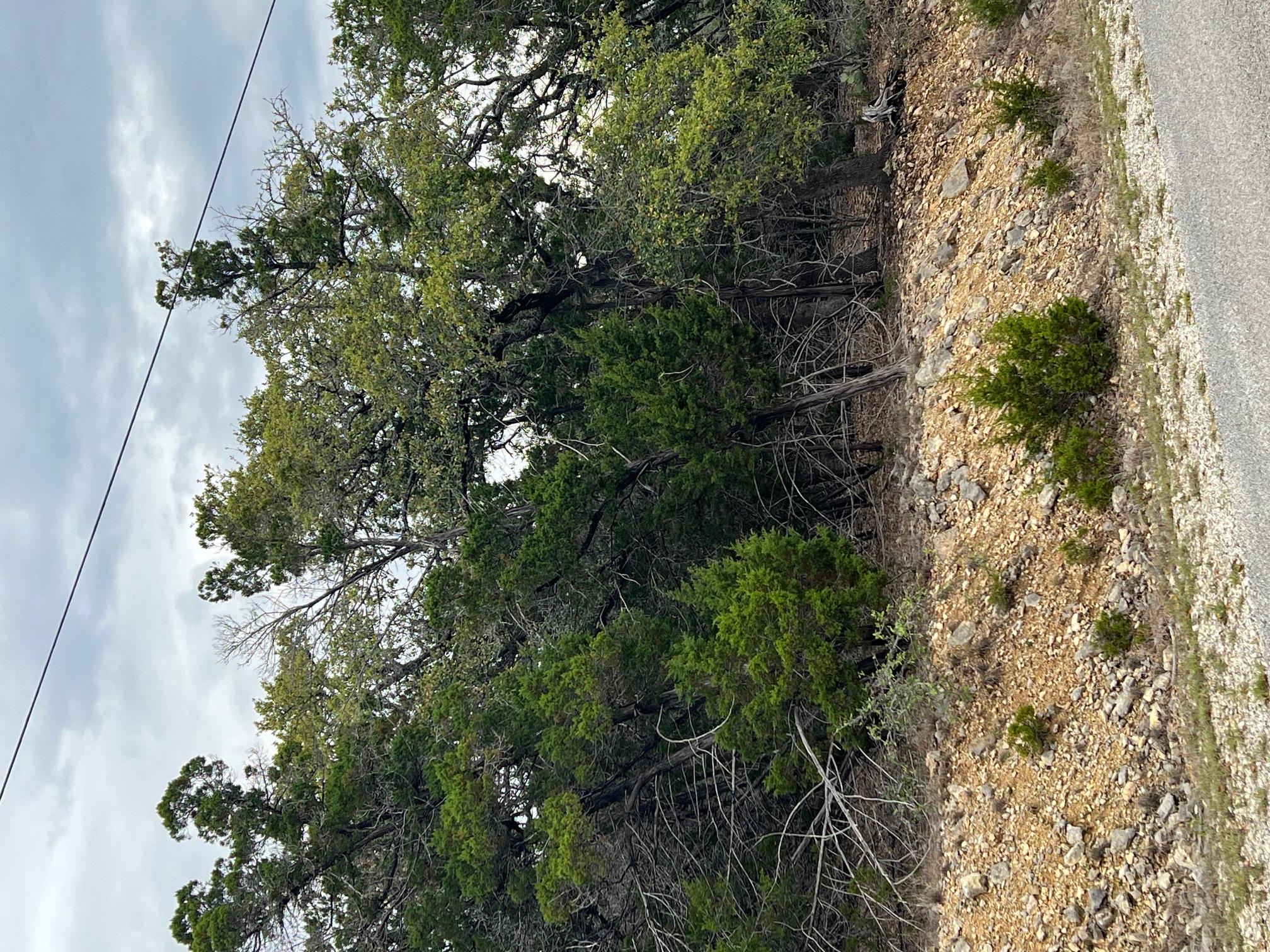 lot 67 Broken Spoke 5 Acres, Canyon Lake, TX 78133