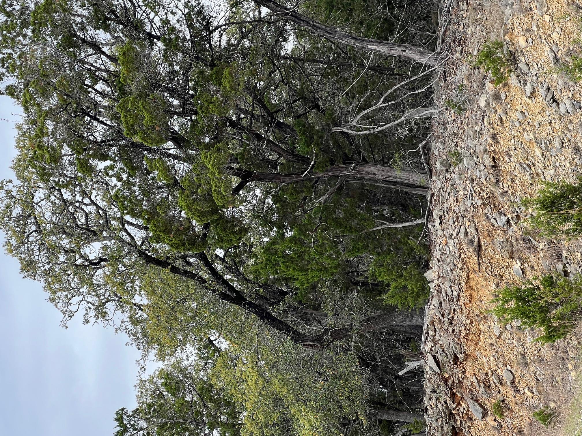 lot 67 Broken Spoke 5 Acres, Canyon Lake, TX 78133