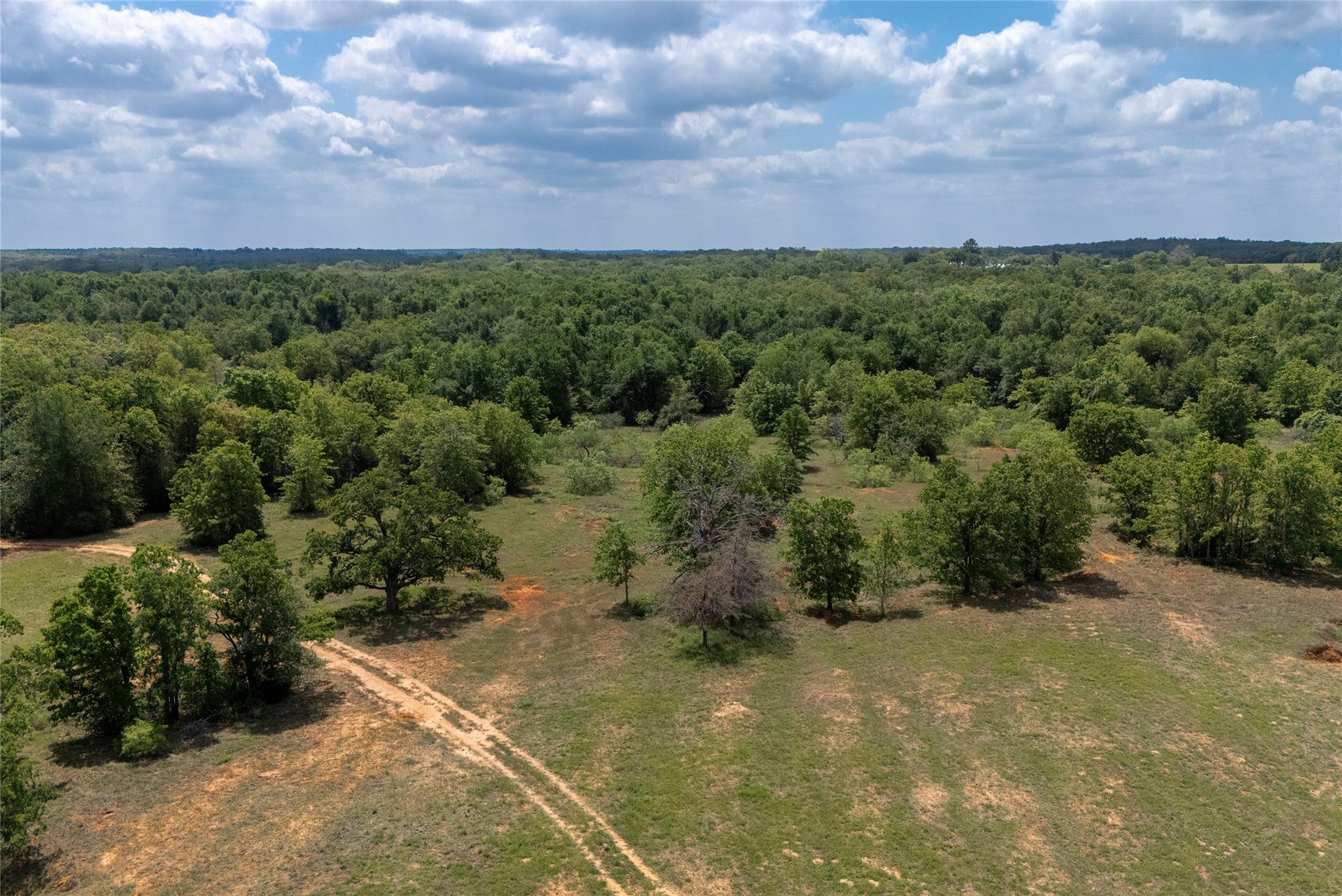 3011 County Road 314, Rockdale, TX 76567