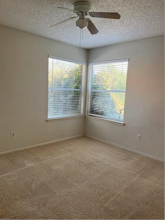 11727 Norwegian Wood Dr, Austin, TX 78758