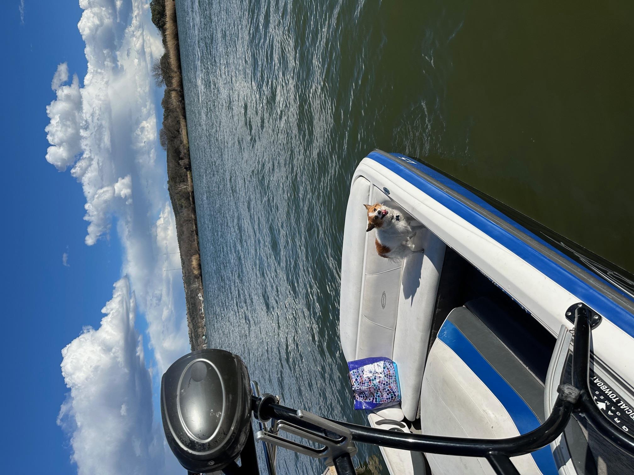 157 E White Rock St, Buchanan Dam, TX 78609