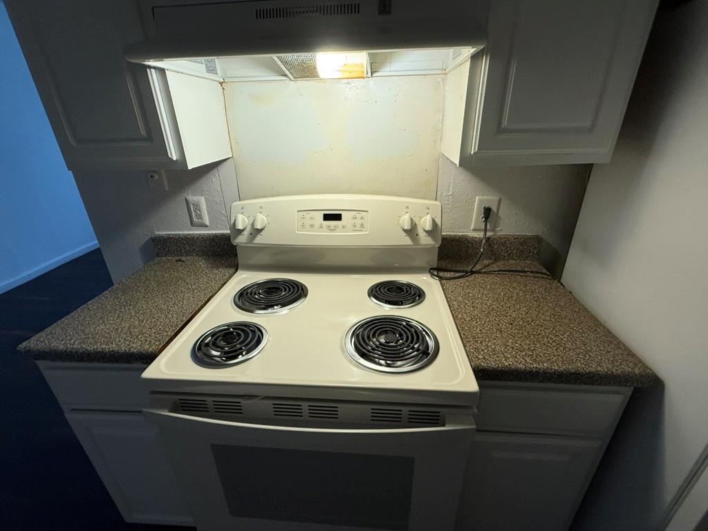 2124 Burton Dr # 251, Austin, TX 78741