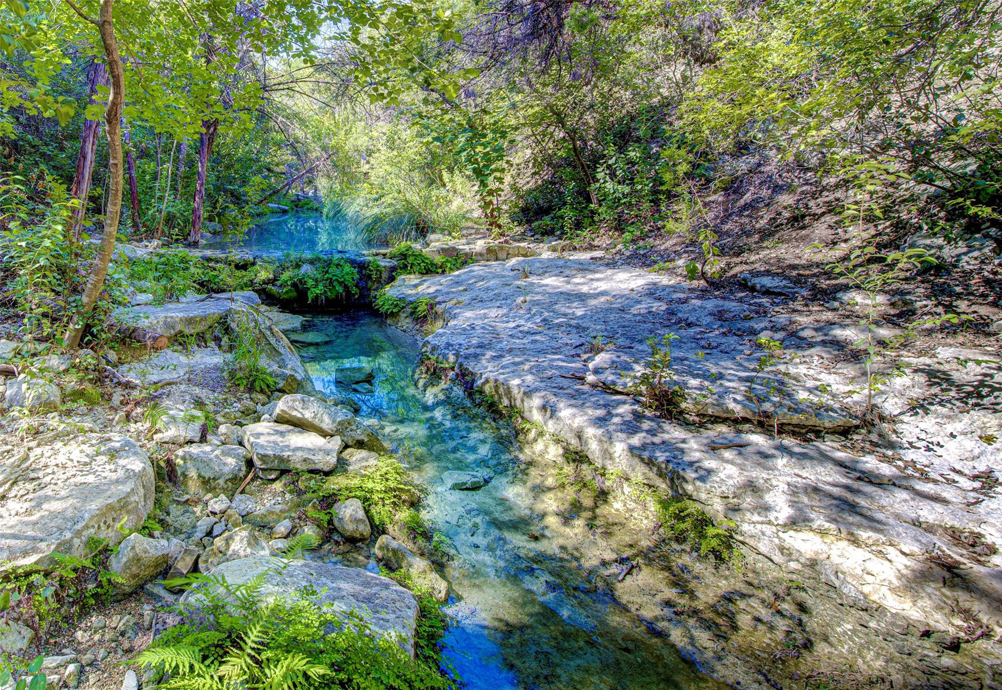 15101 DEXLER Dr, Austin, TX 78734