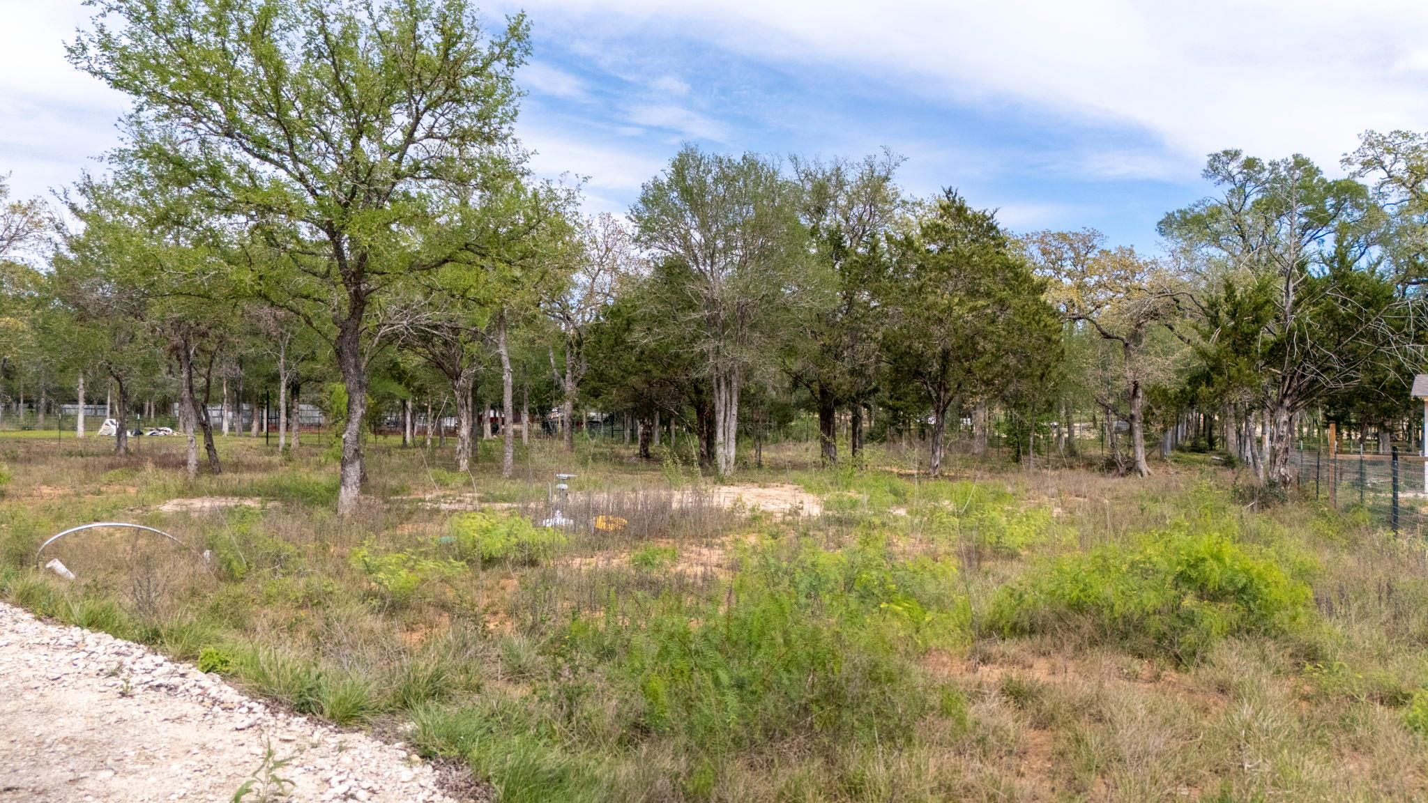 171 Comancheria Trl, Elgin, TX 78621