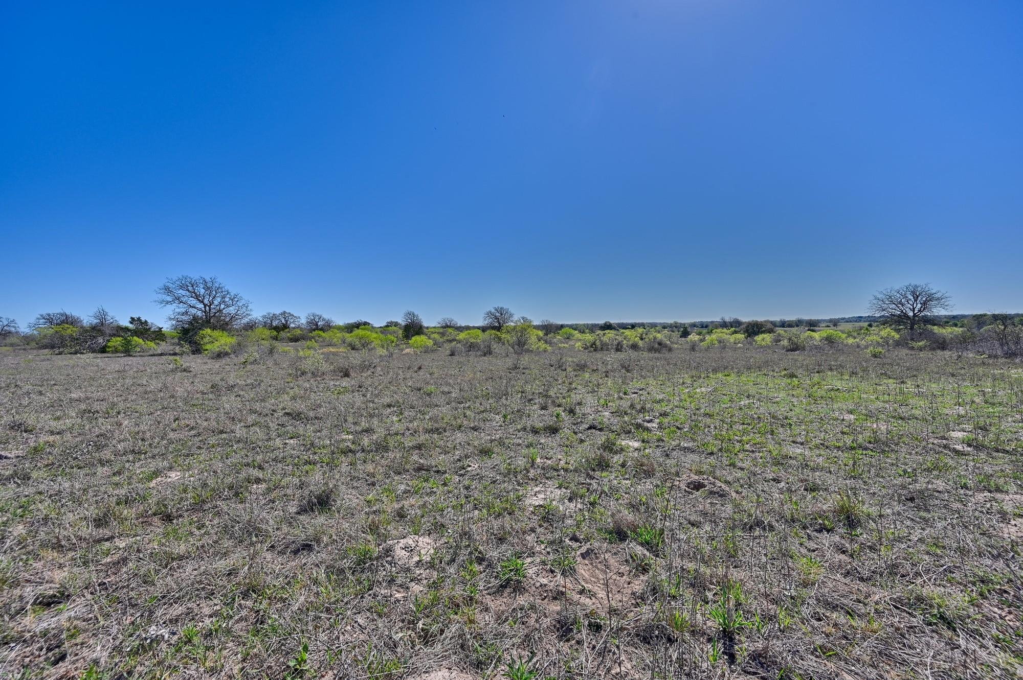 000 CR 406/Branecky Rd, Flatonia, TX 78629