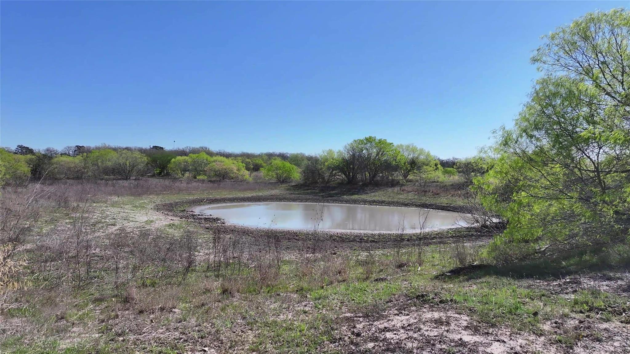 000 CR 406/Branecky Rd, Flatonia, TX 78629