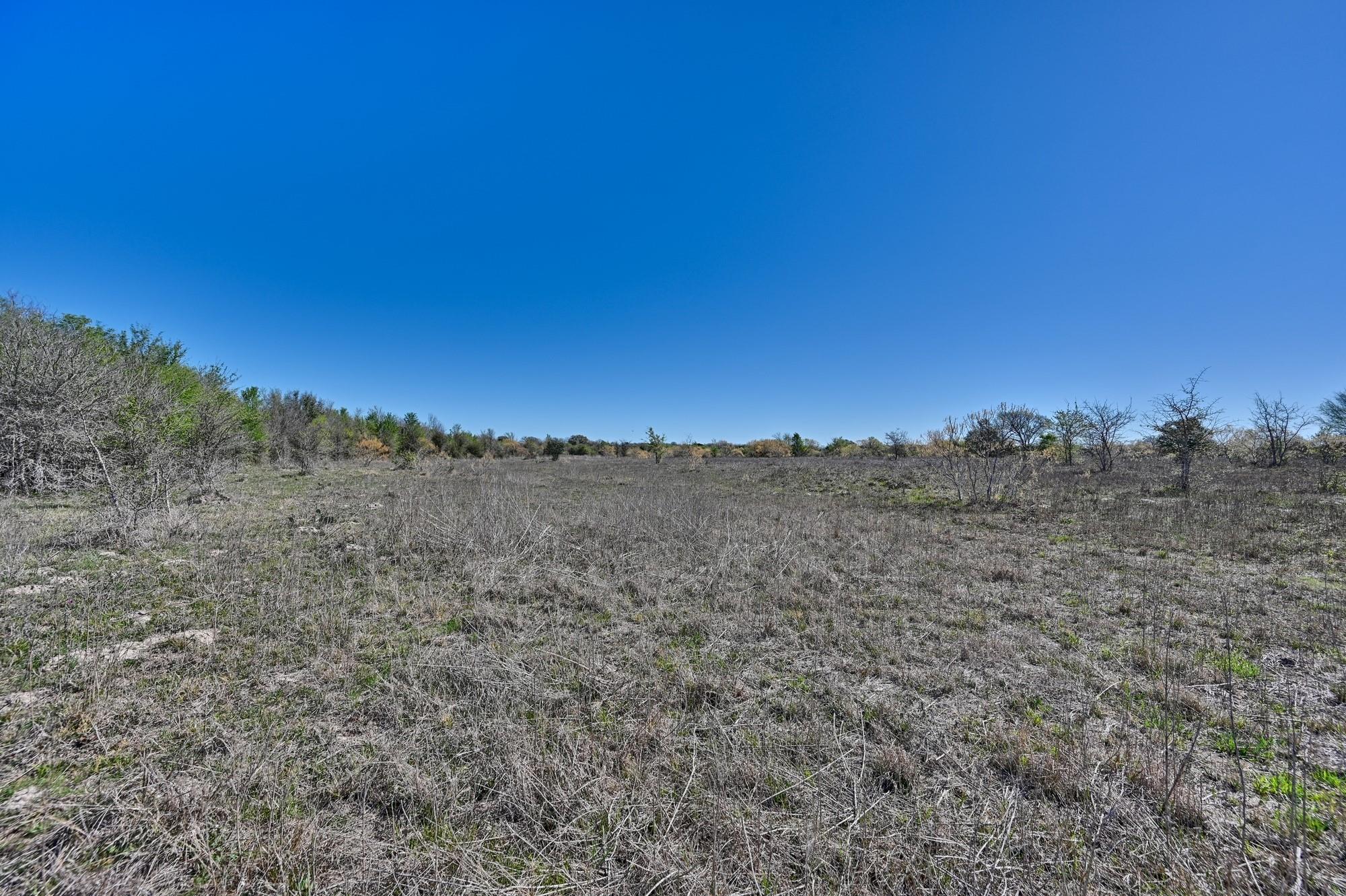 000 CR 406/Branecky Rd, Flatonia, TX 78629