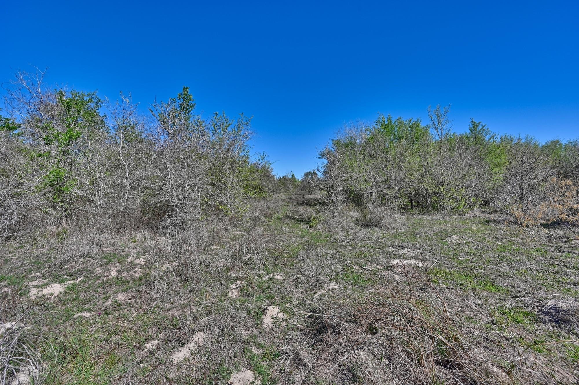 000 CR 406/Branecky Rd, Flatonia, TX 78629