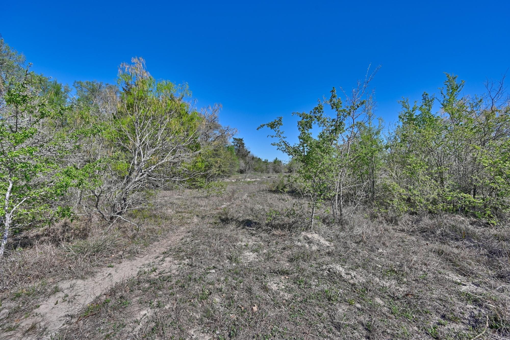 000 CR 406/Branecky Rd, Flatonia, TX 78629
