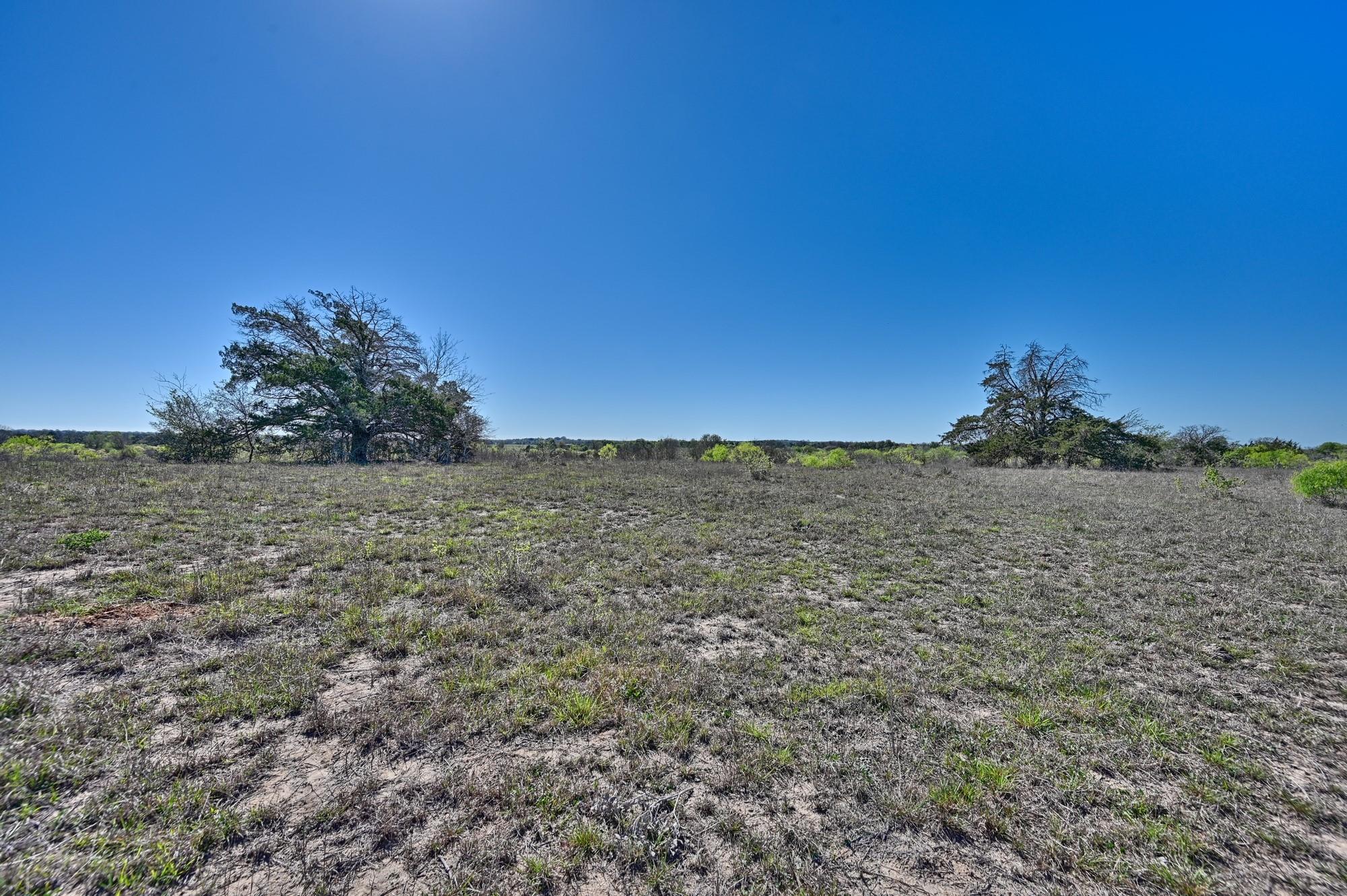 000 CR 406/Branecky Rd, Flatonia, TX 78629