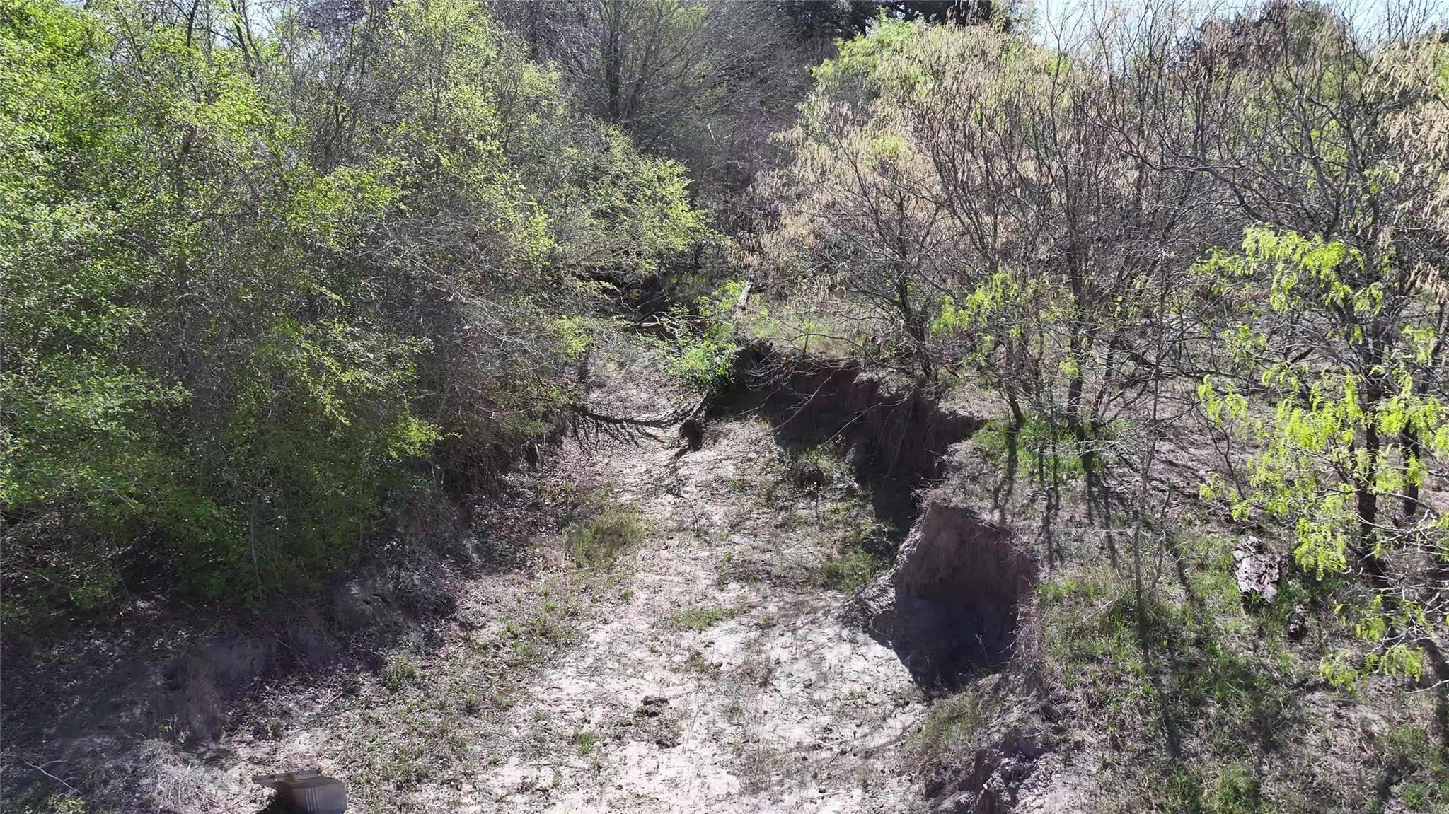 000 CR 406/Branecky Rd, Flatonia, TX 78629