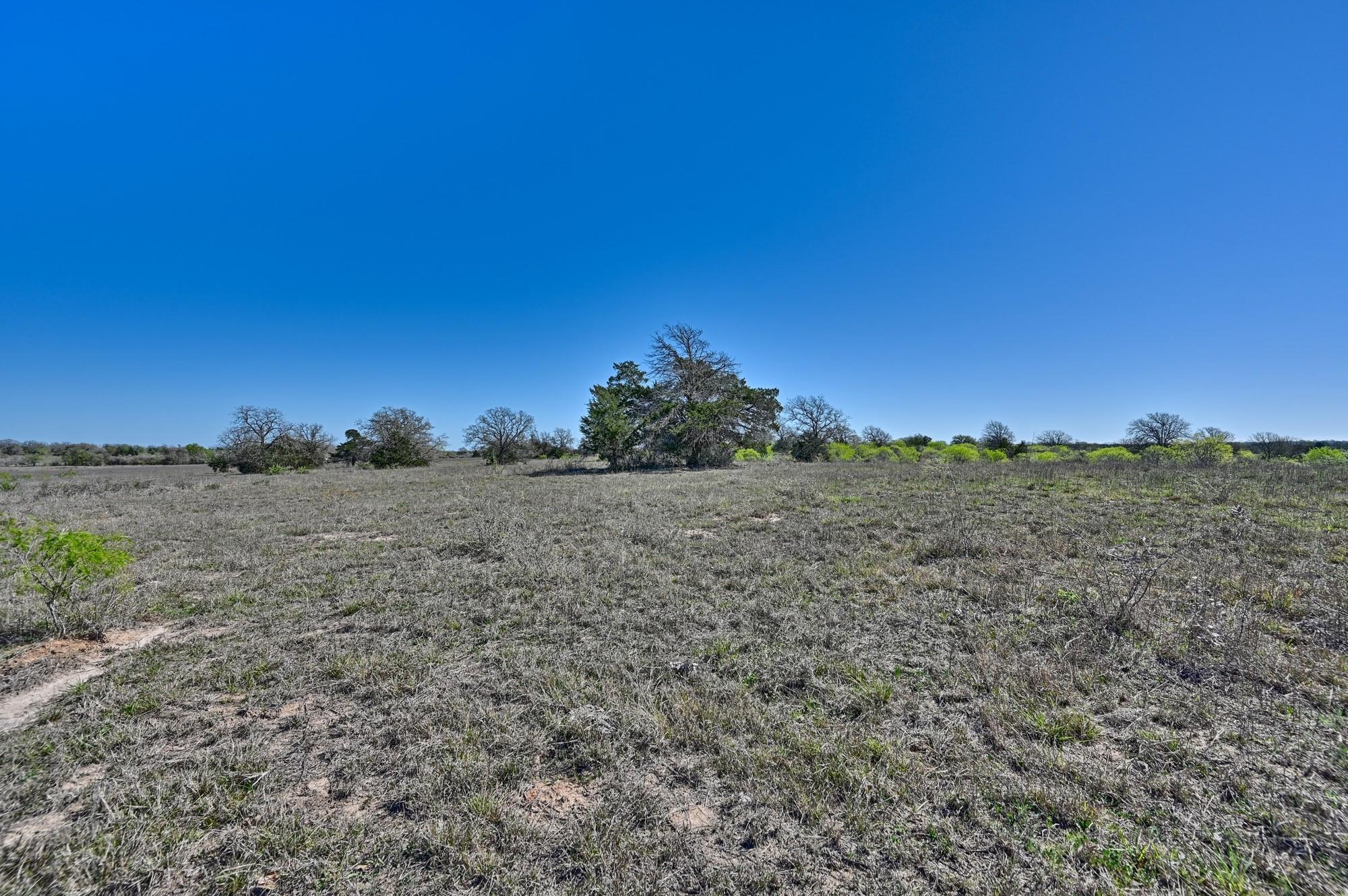 000 CR 406/Branecky Rd, Flatonia, TX 78629