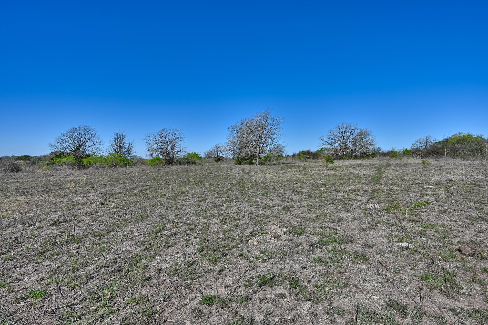 000 CR 406/Branecky Rd, Flatonia, TX 78629