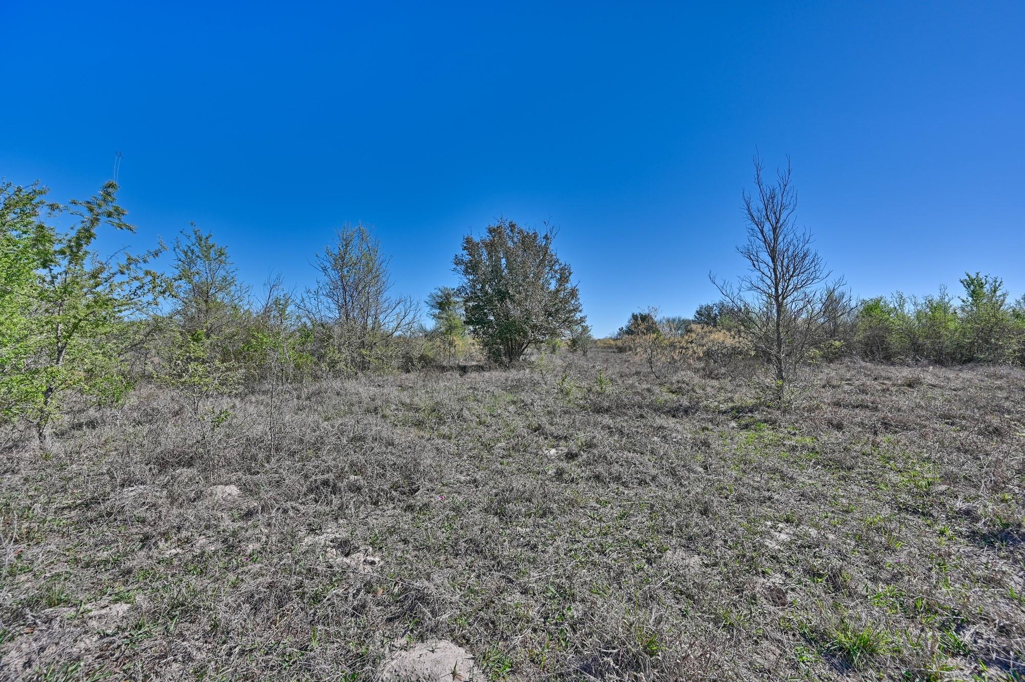 000 CR 406/Branecky Rd, Flatonia, TX 78629