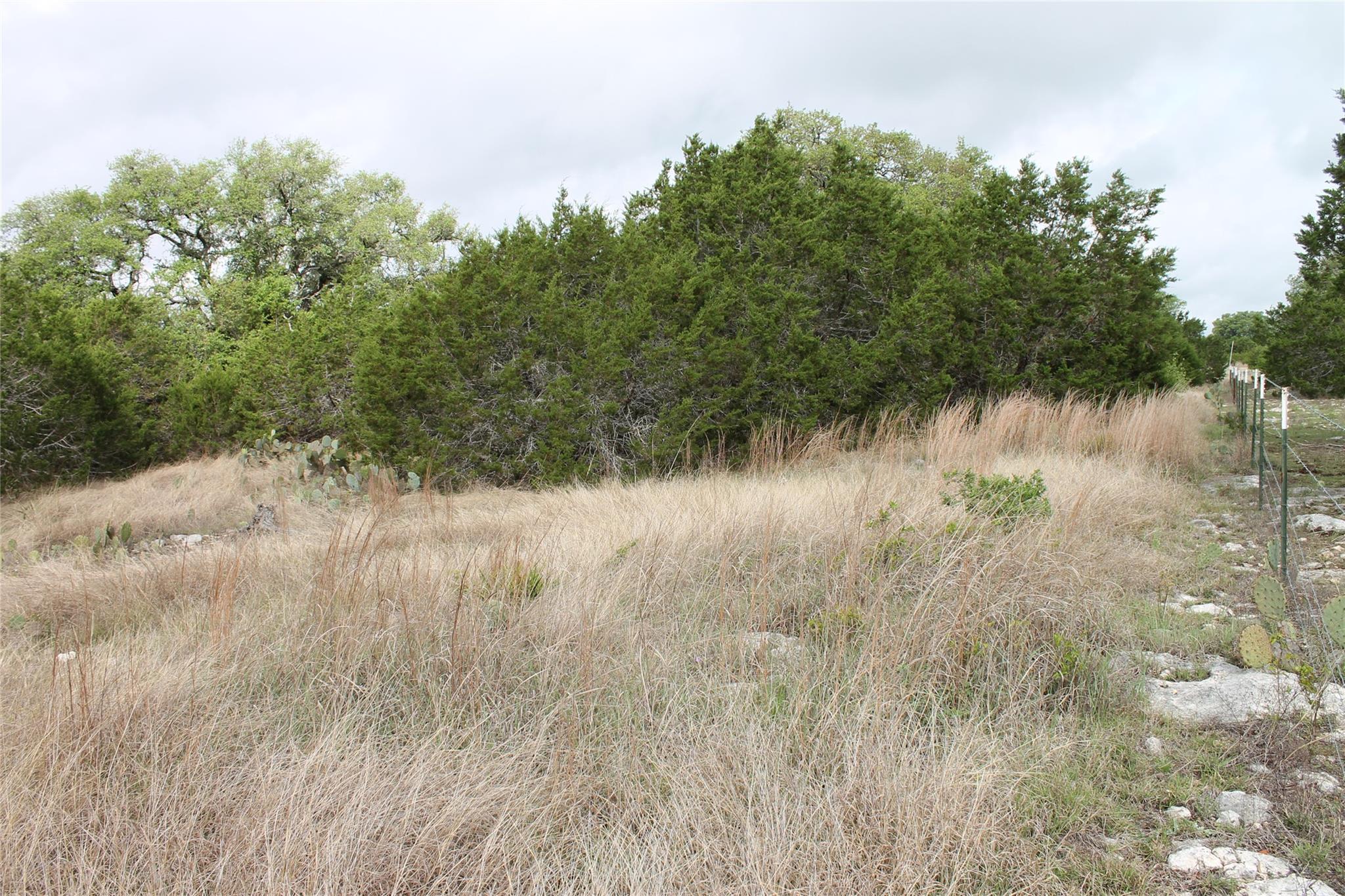lot 1 Saddle Ridge Dr, Bertram, TX 78605