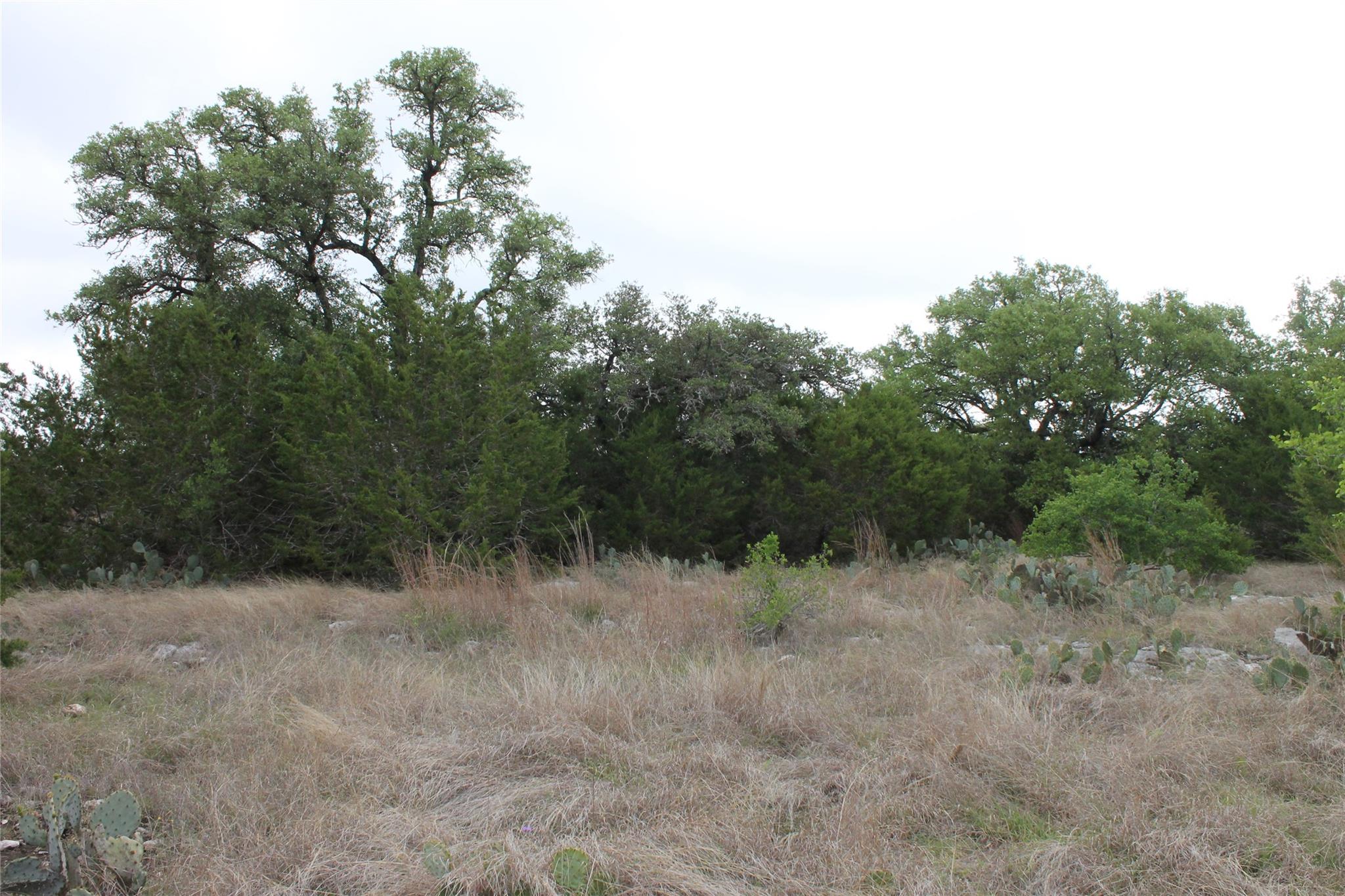 lot 1 Saddle Ridge Dr, Bertram, TX 78605