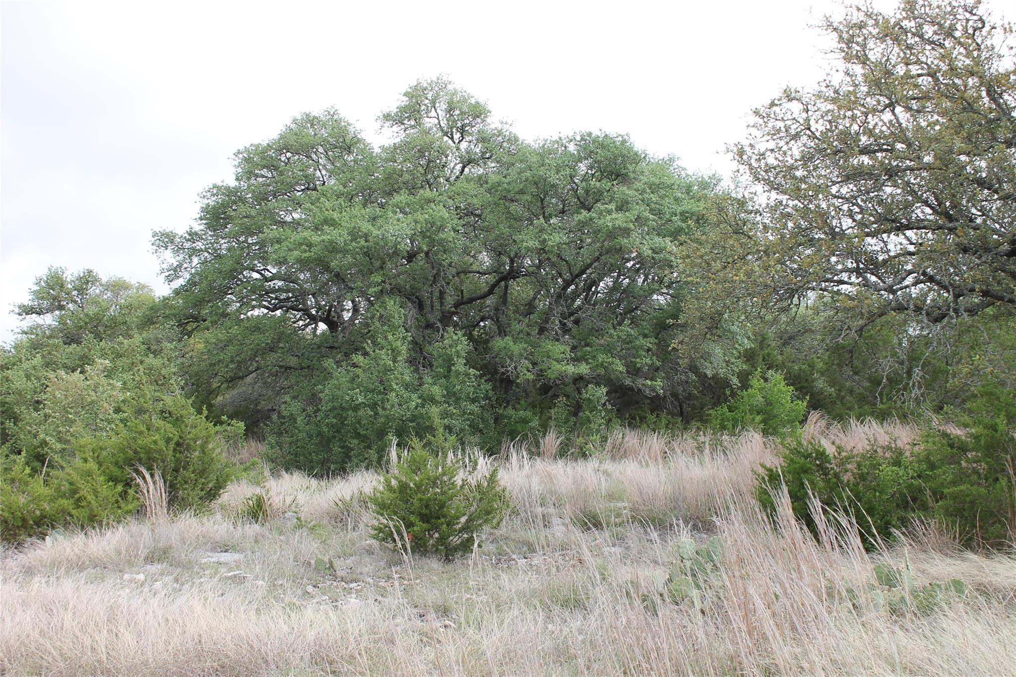 lot 1 Saddle Ridge Dr, Bertram, TX 78605