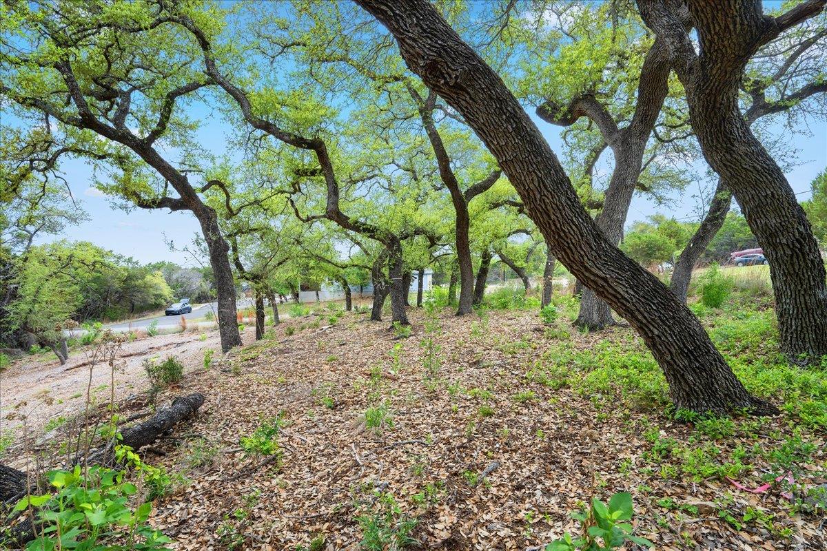 20404 Ridgeview Rd, Leander, TX 78645