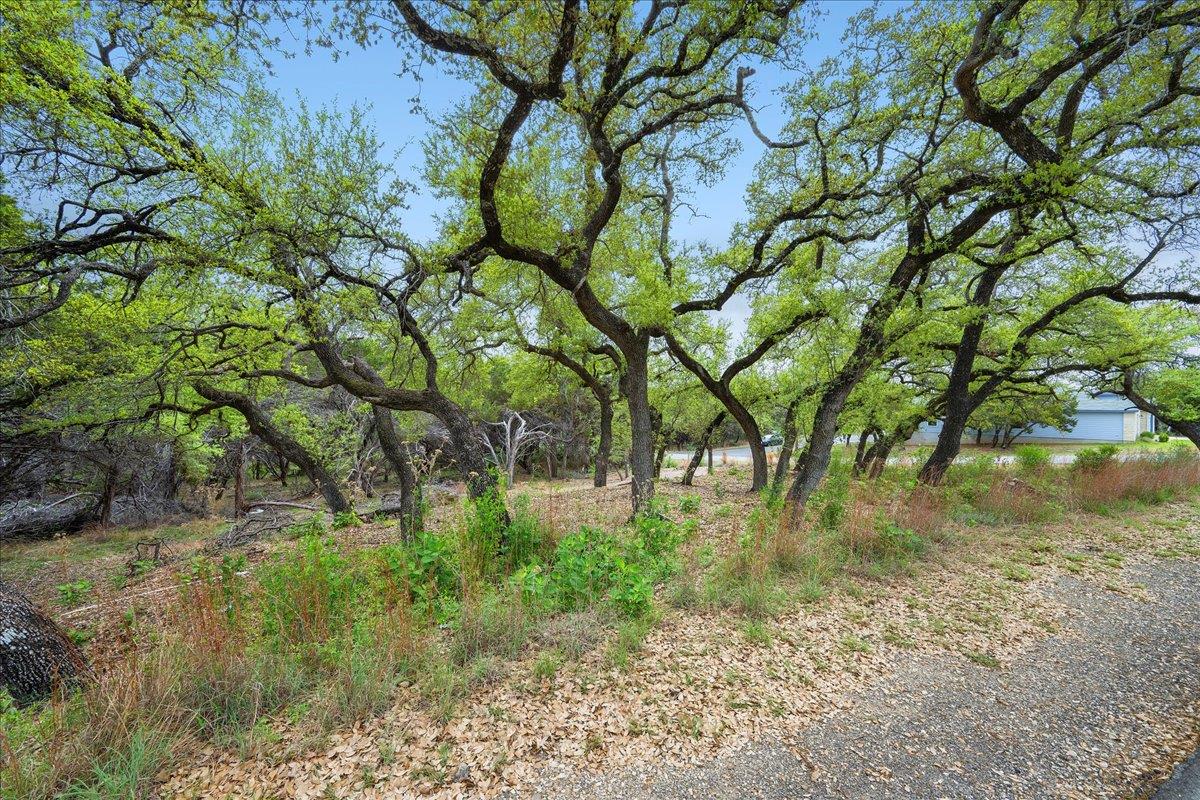 20404 Ridgeview Rd, Leander, TX 78645