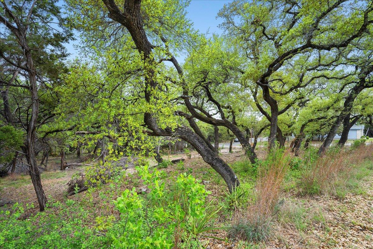 20404 Ridgeview Rd, Leander, TX 78645