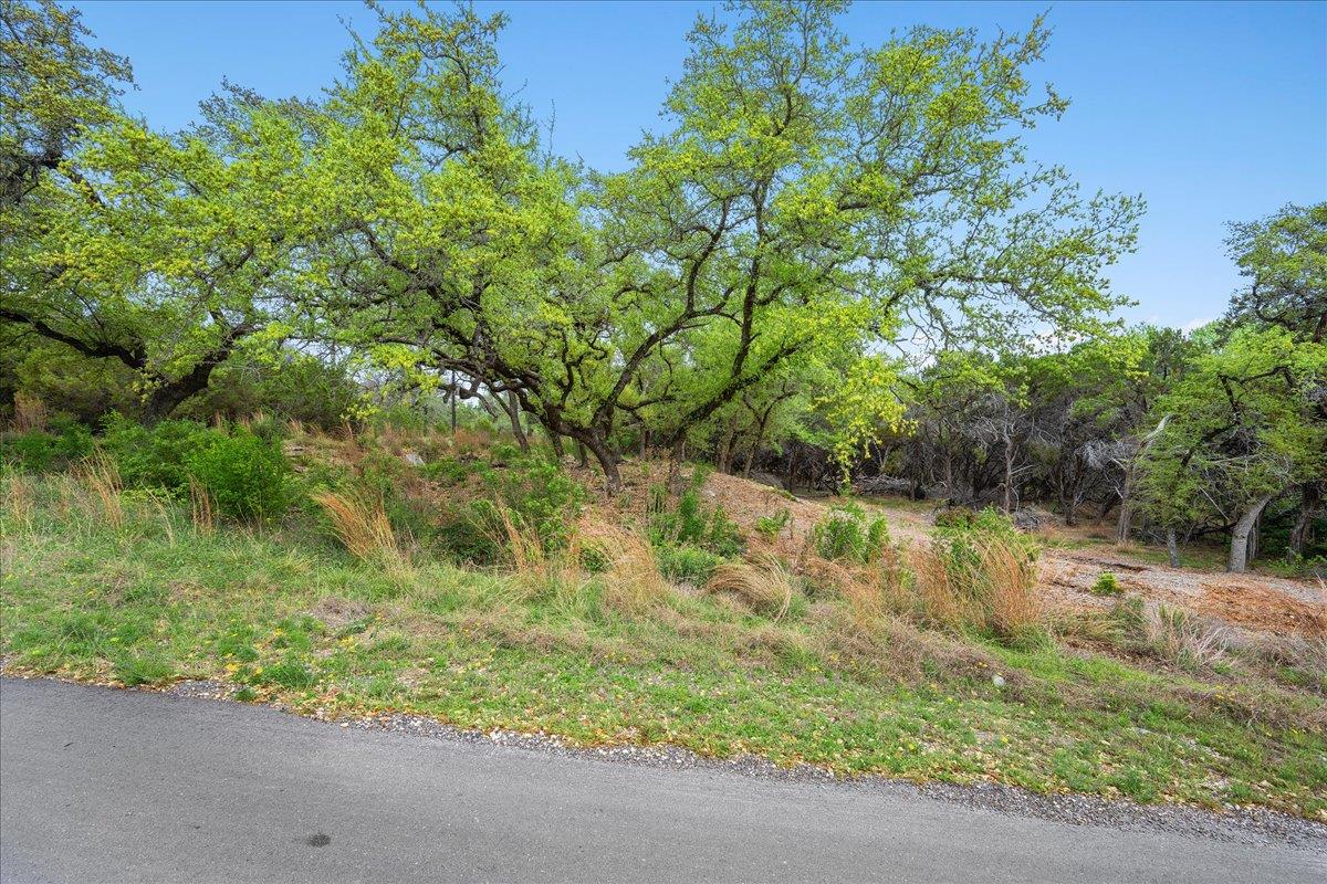 20404 Ridgeview Rd, Leander, TX 78645