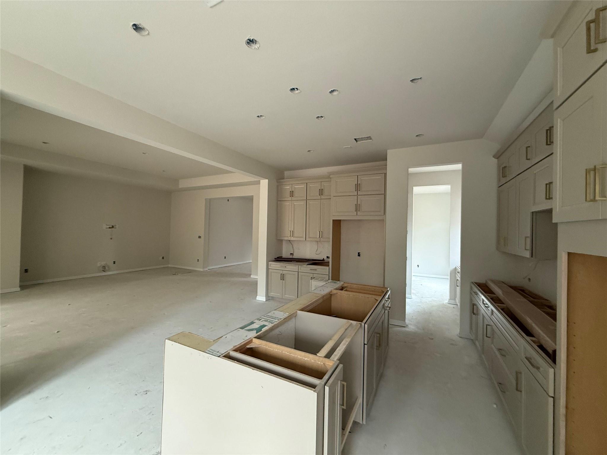 313 Knockout Rose Dr, San Marcos, TX 78666