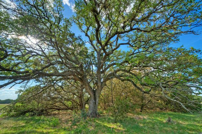 Star Gazer Lot 8 Stargazer Dr, Lampasas, TX 76550