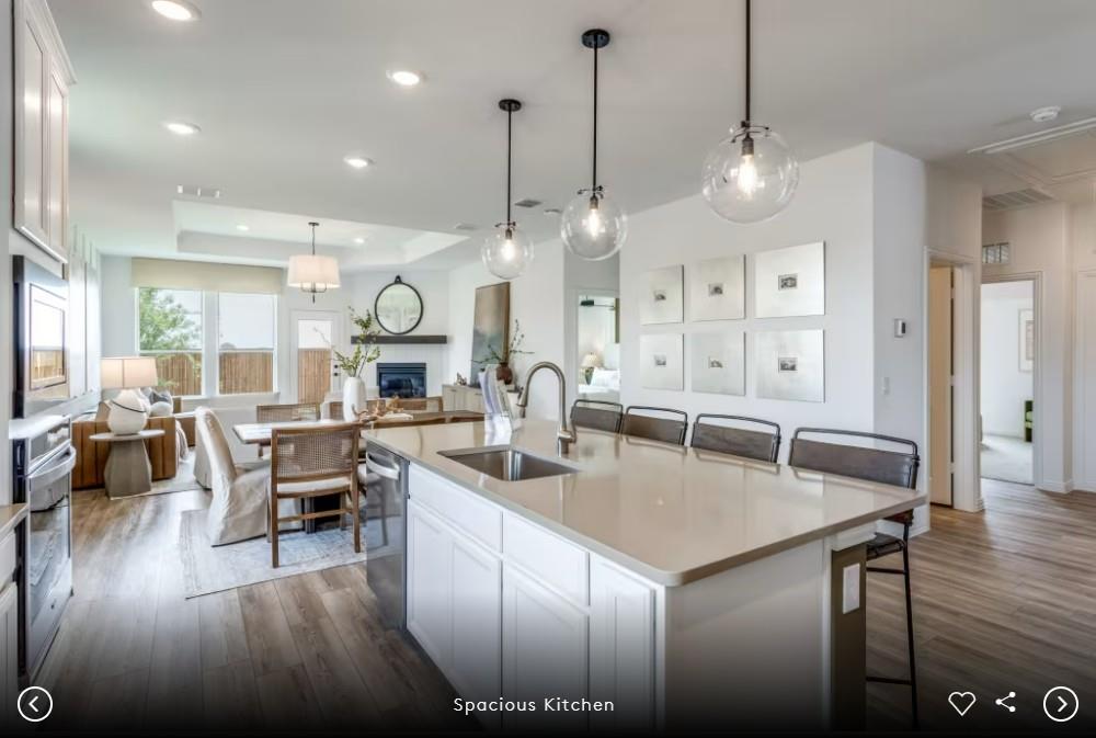 301 Celeste Way, Liberty Hill, TX 78642