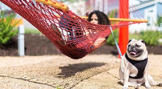 9204 The Ravine Way, Austin, TX 78744