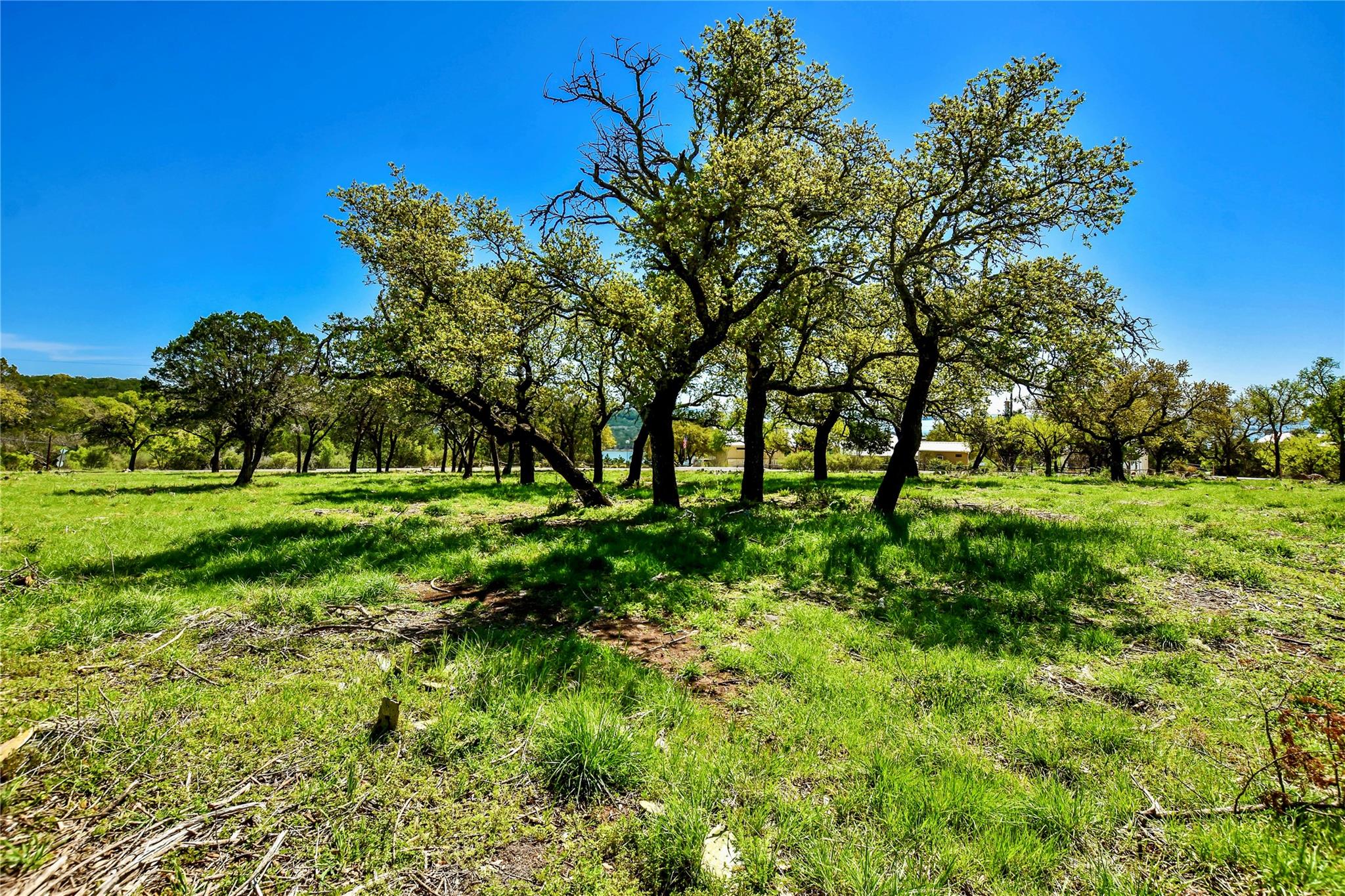 000 ED LOW Dr, Burnet, TX 78611
