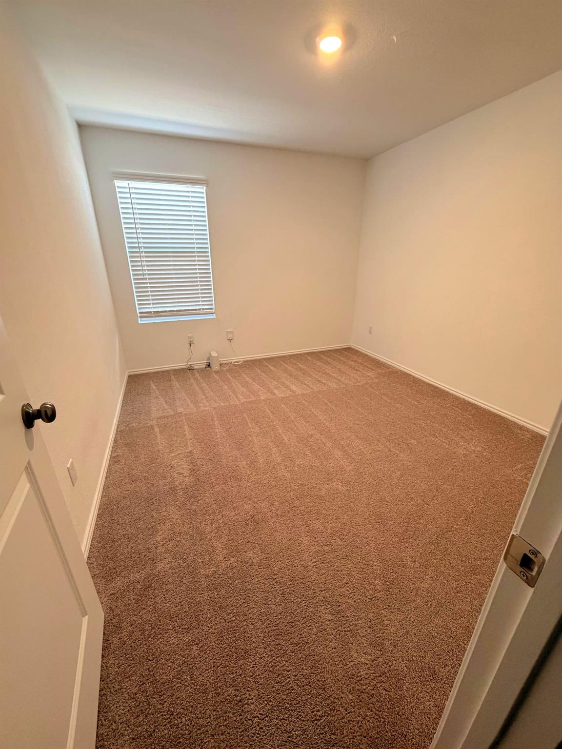 2520 Four Waters Loop, Georgetown, TX 78628