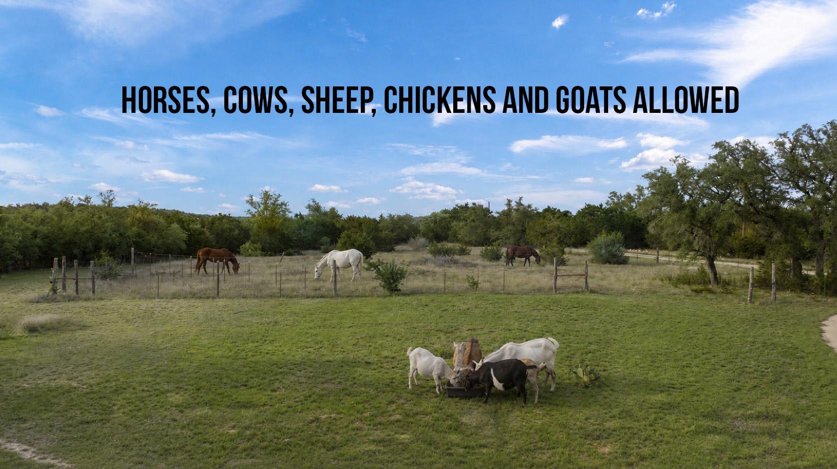 101 Maheo Way, Dripping Springs, TX 78620