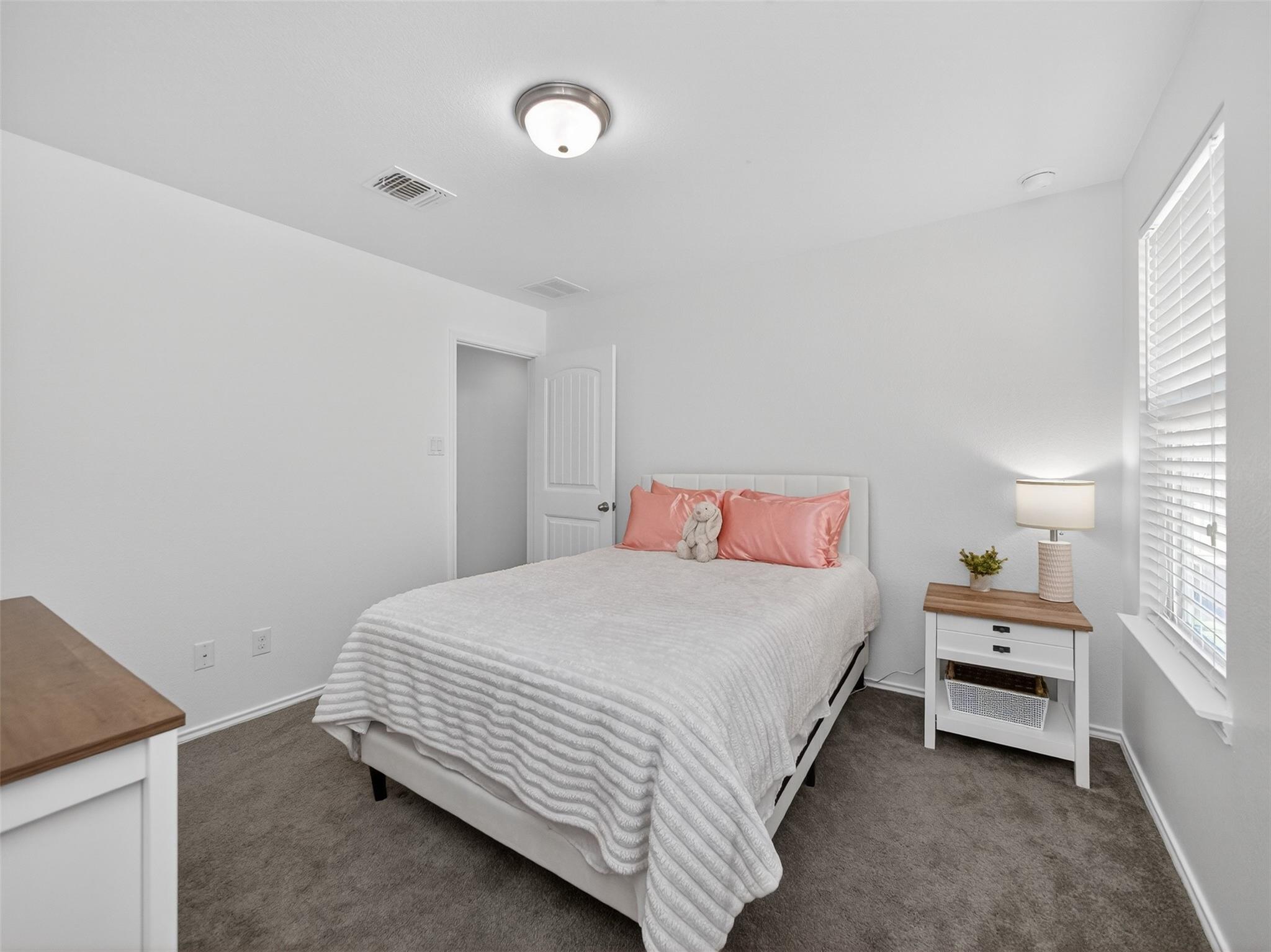 1015 Grande Mesa Dr, Georgetown, TX 78626