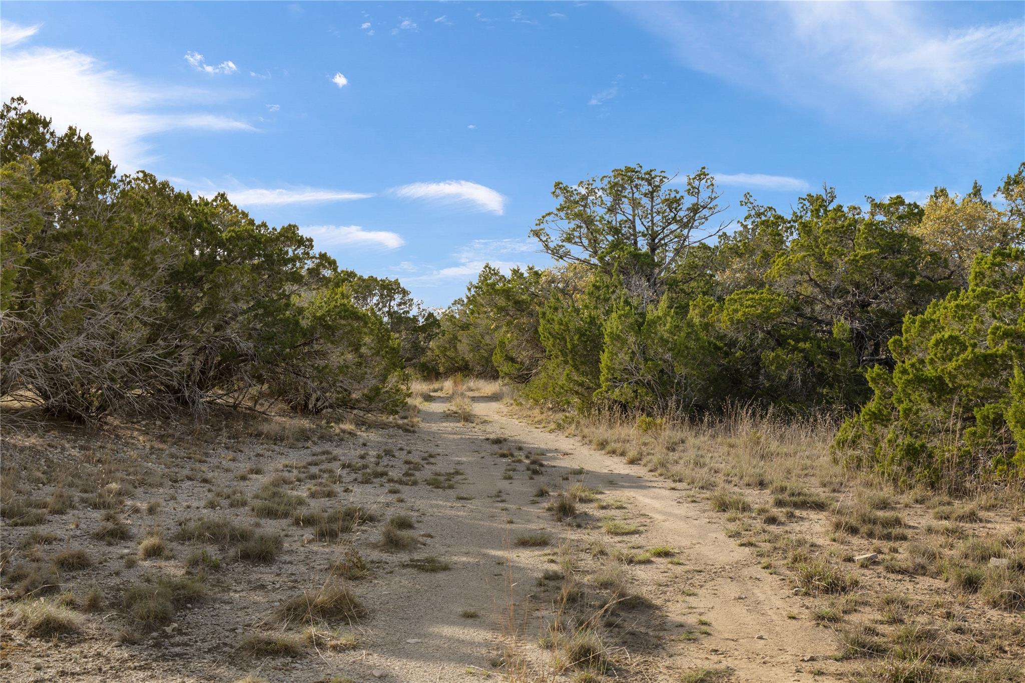 892 Baird Ranch Rd, Johnson City, TX 78636