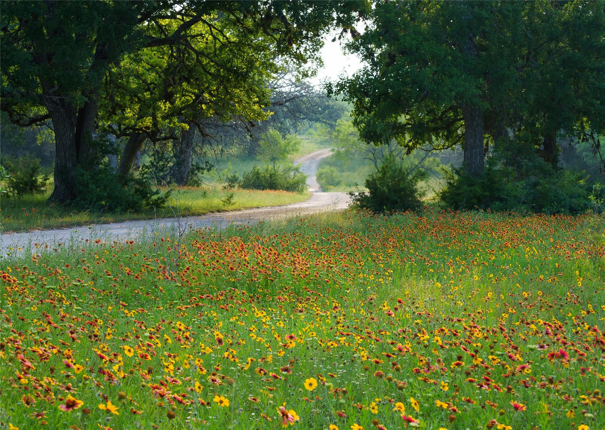 892 Baird Ranch Rd, Johnson City, TX 78636