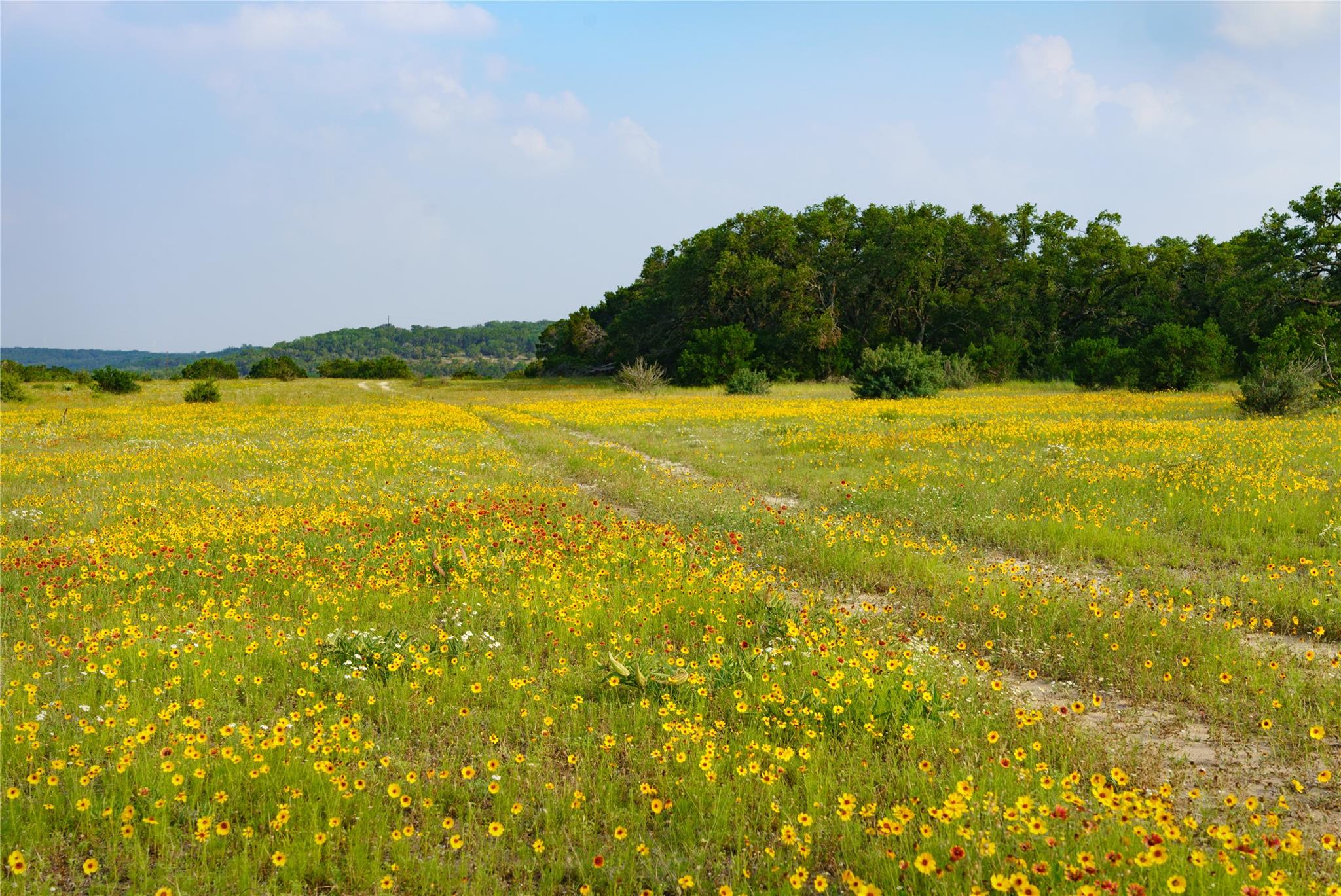 892 Baird Ranch Rd, Johnson City, TX 78636