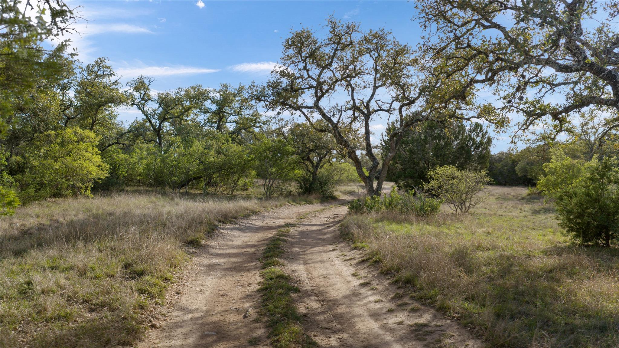 892 Baird Ranch Rd, Johnson City, TX 78636