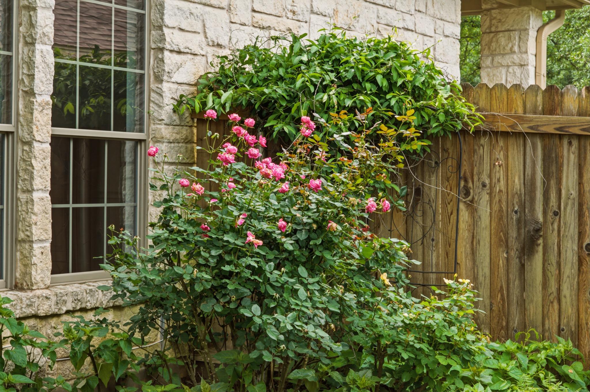 11704 Via Grande Dr, Austin, TX 78739