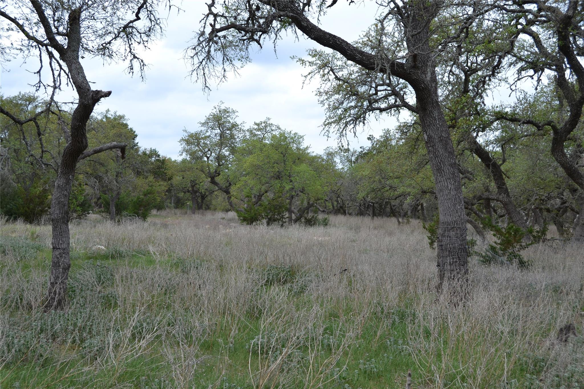 4016 McGregor Ln, Dripping Springs, TX 78620