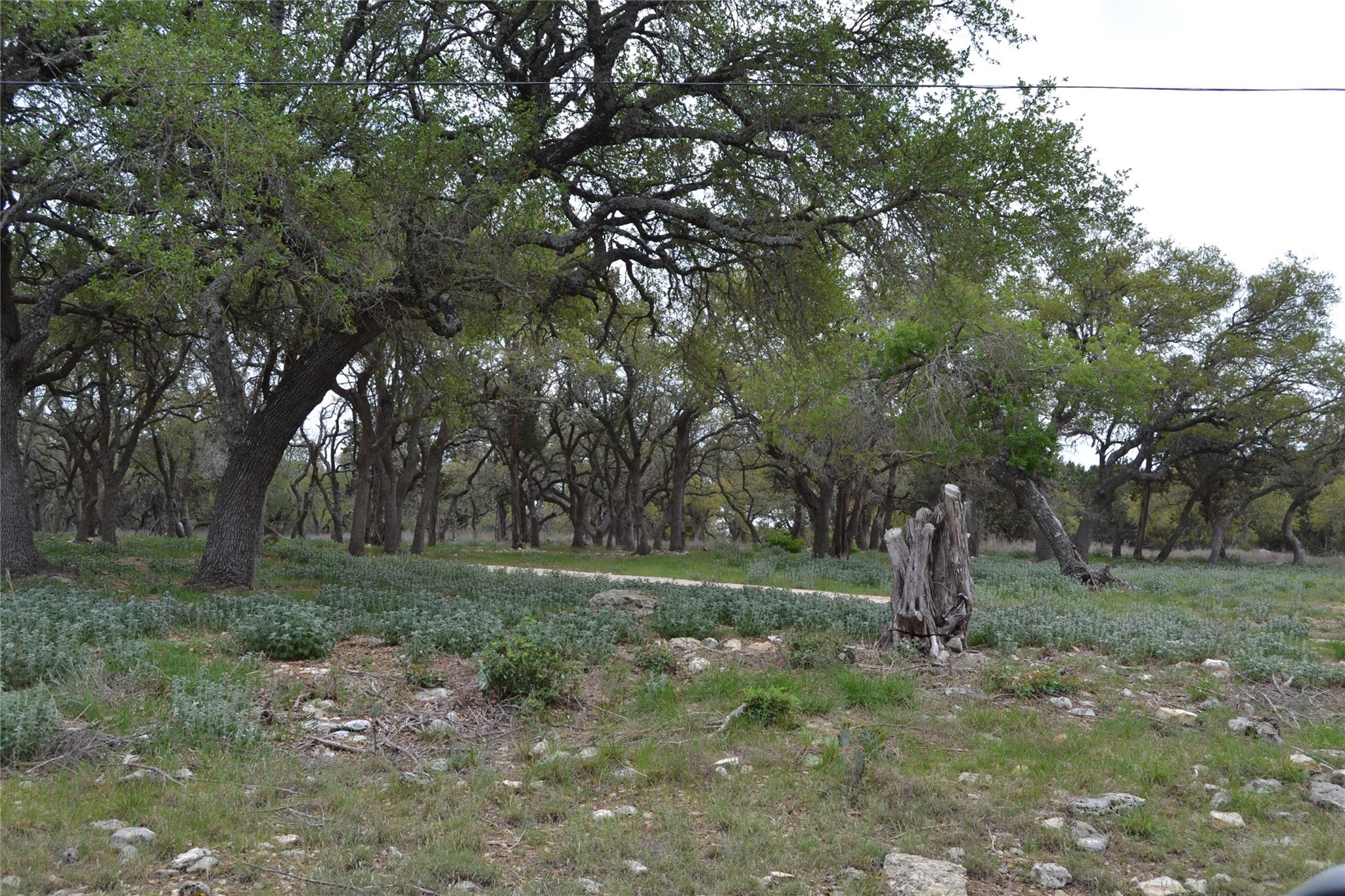 4016 McGregor Ln, Dripping Springs, TX 78620