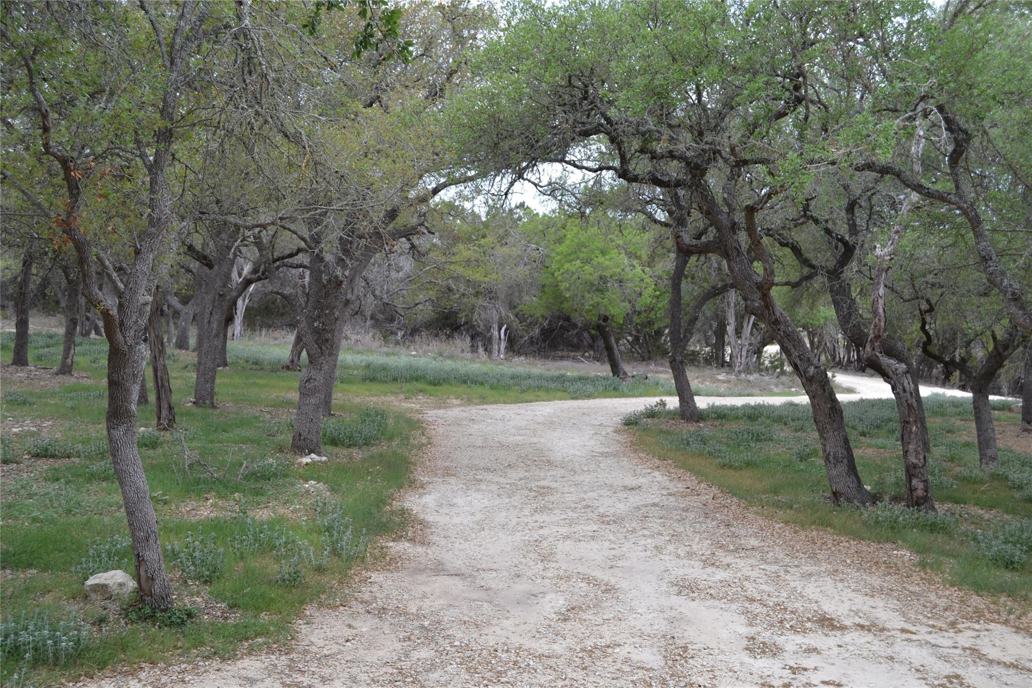 4016 McGregor Ln, Dripping Springs, TX 78620